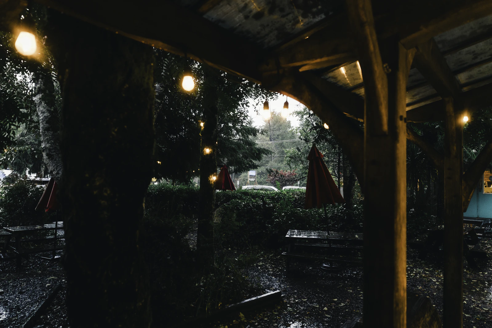 String lights illuminate a rainy outdoor sea