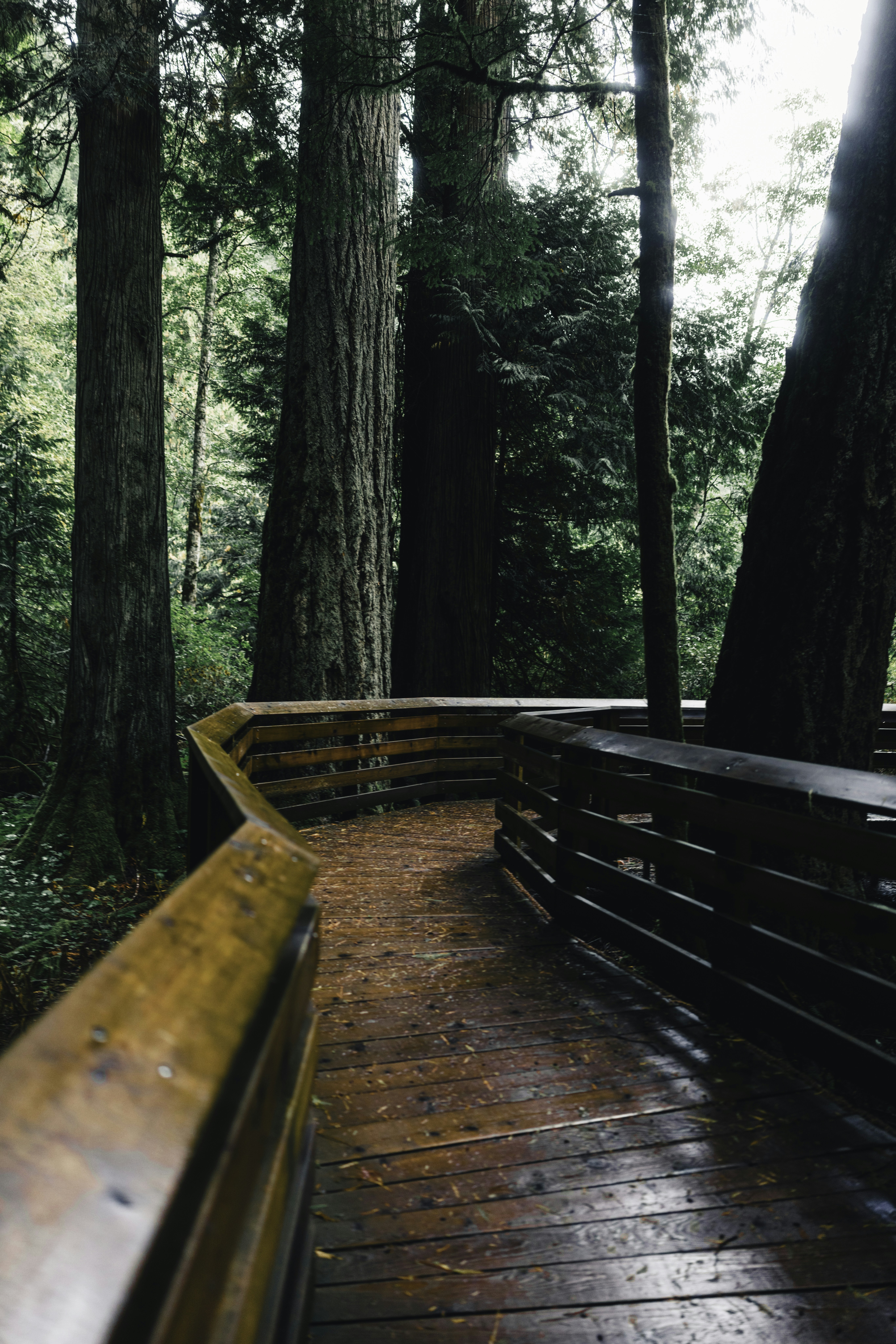 Photo by lureofadventure