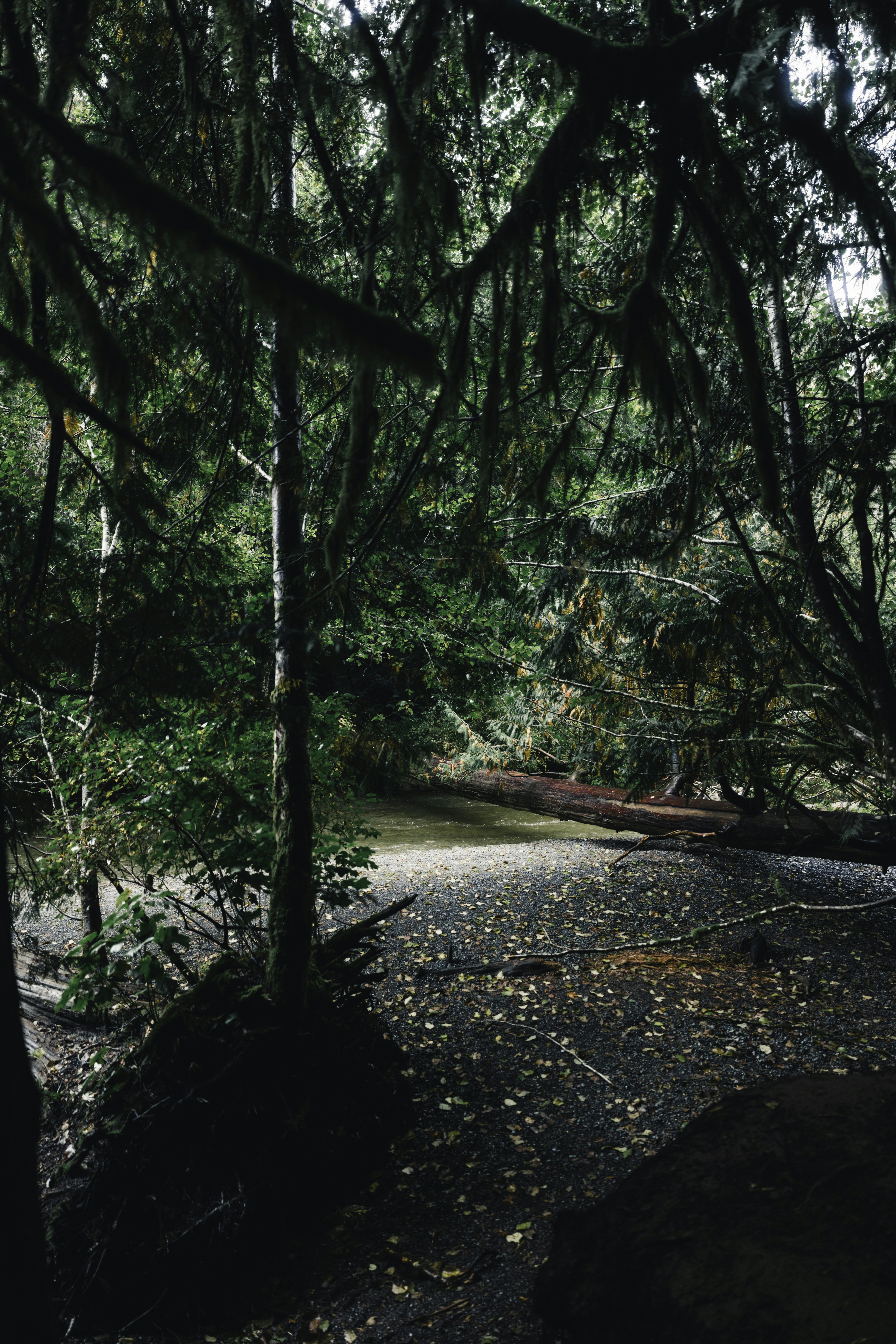 Photo by lureofadventure