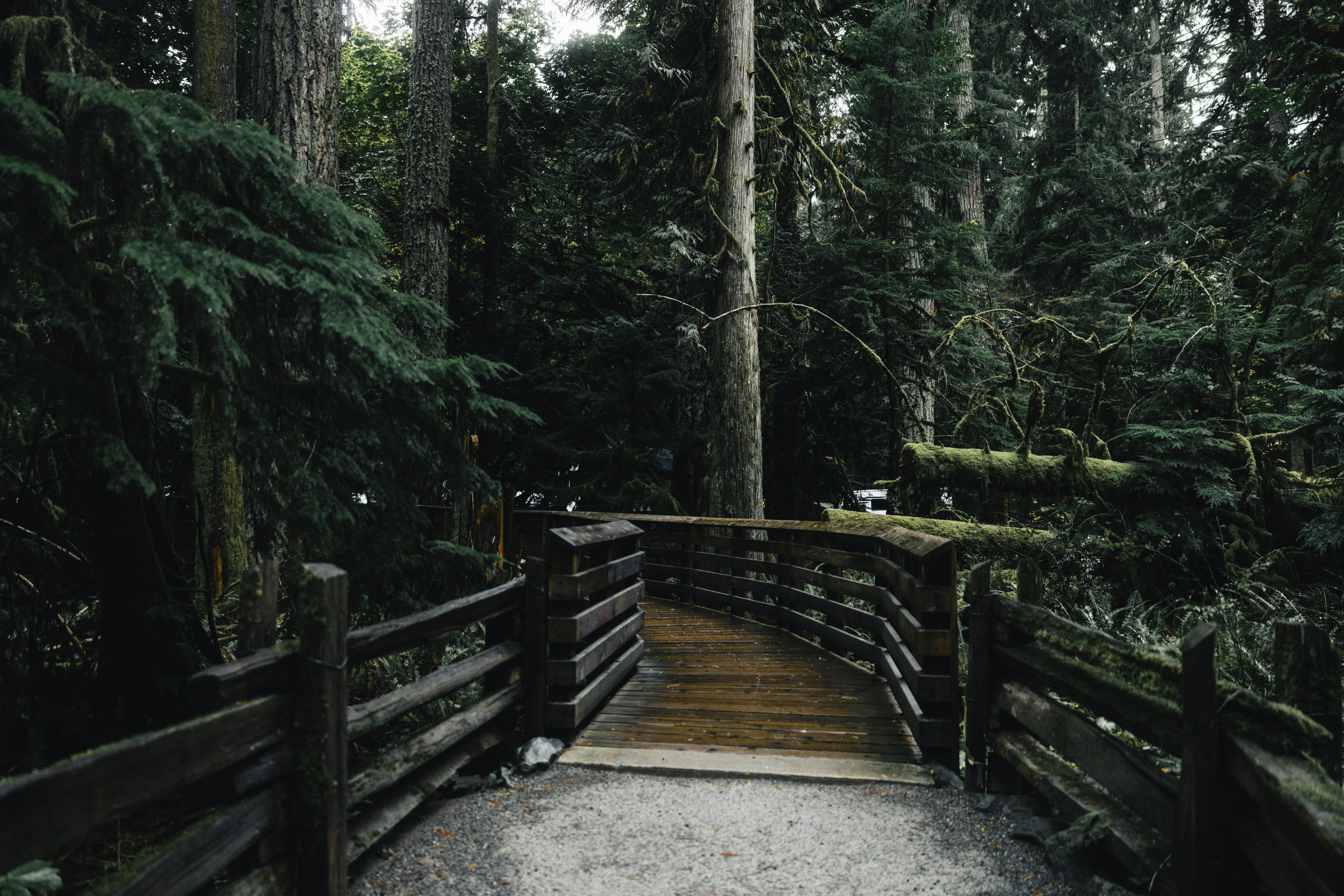 Photo by lureofadventure