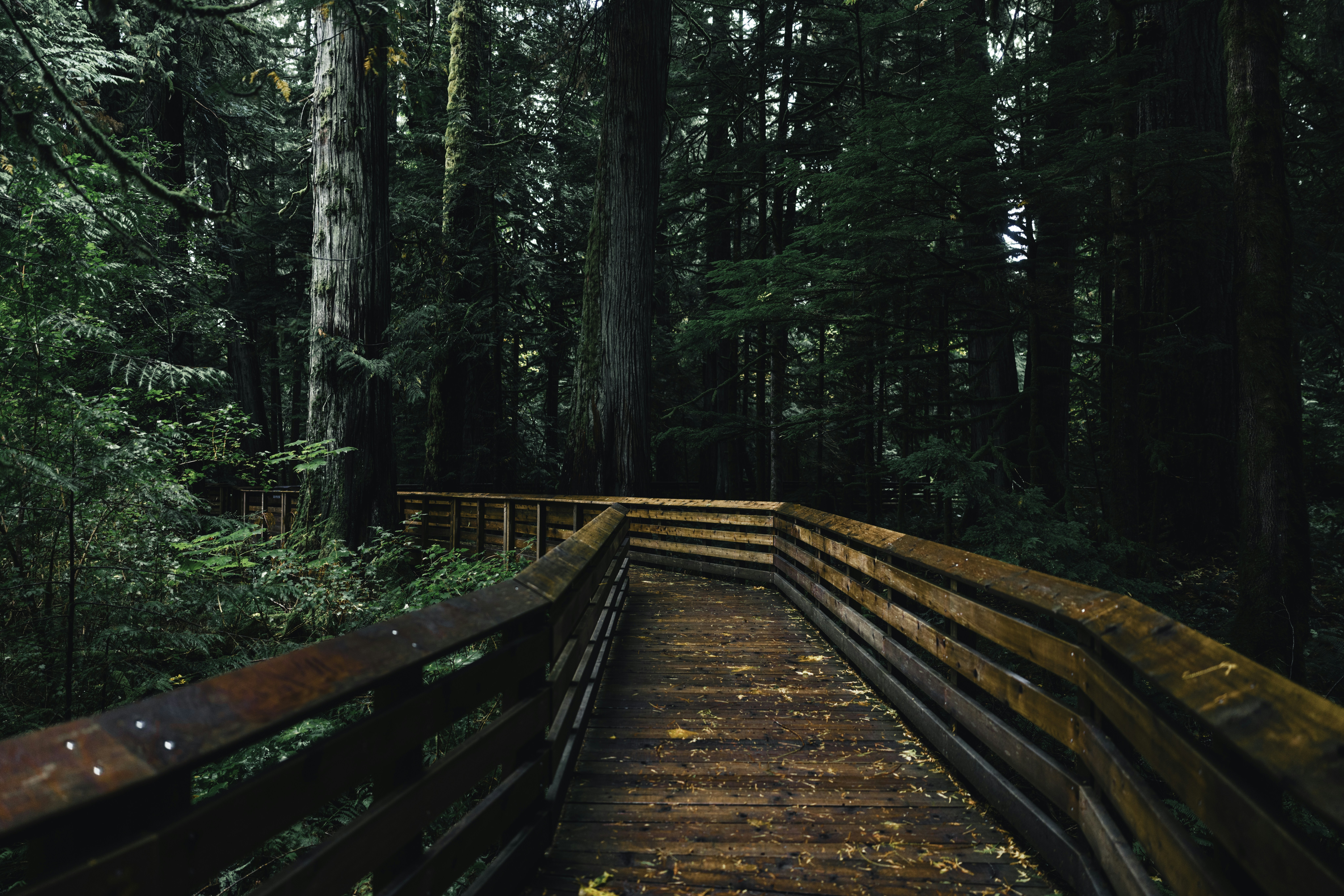 Photo by lureofadventure