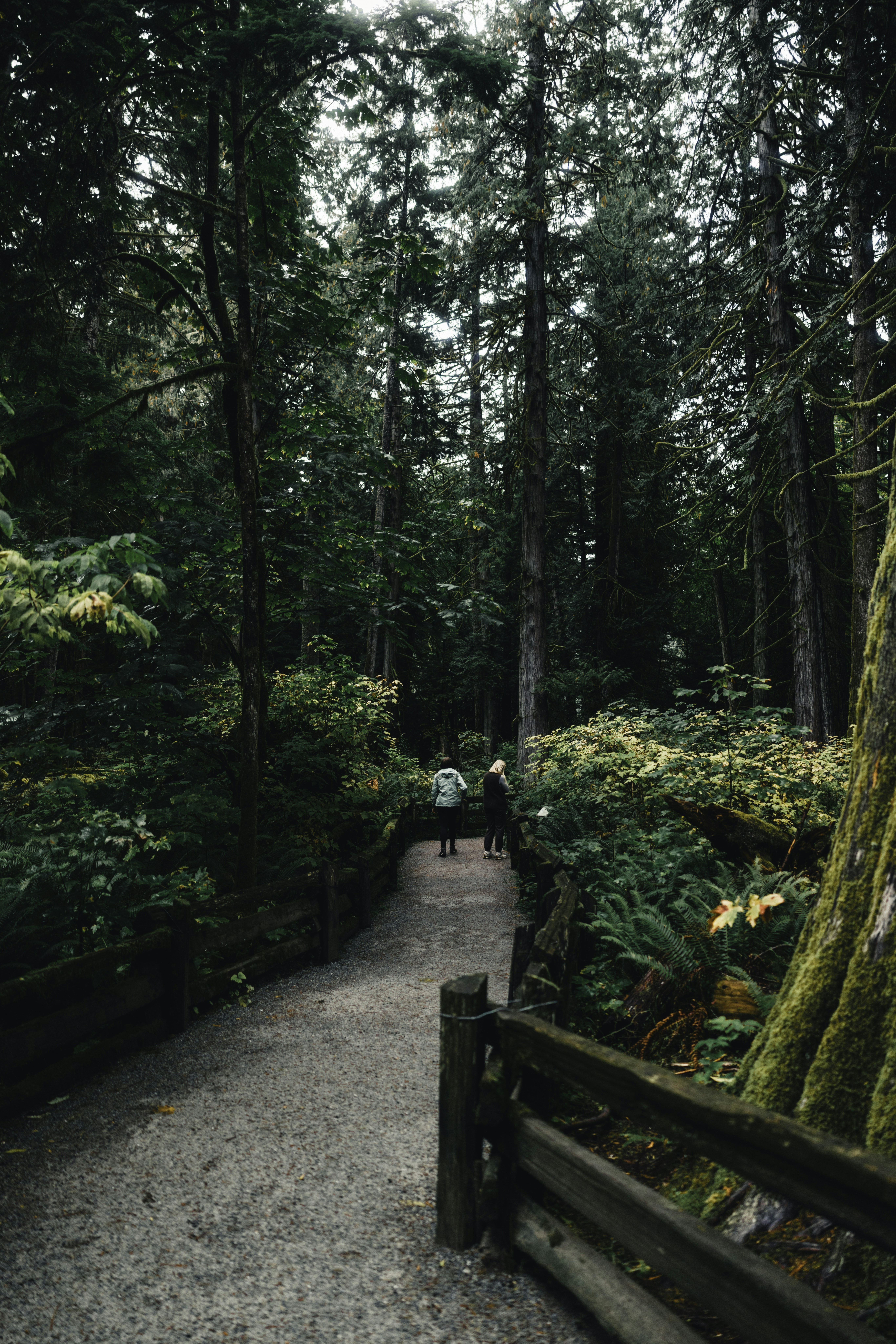 Photo by lureofadventure