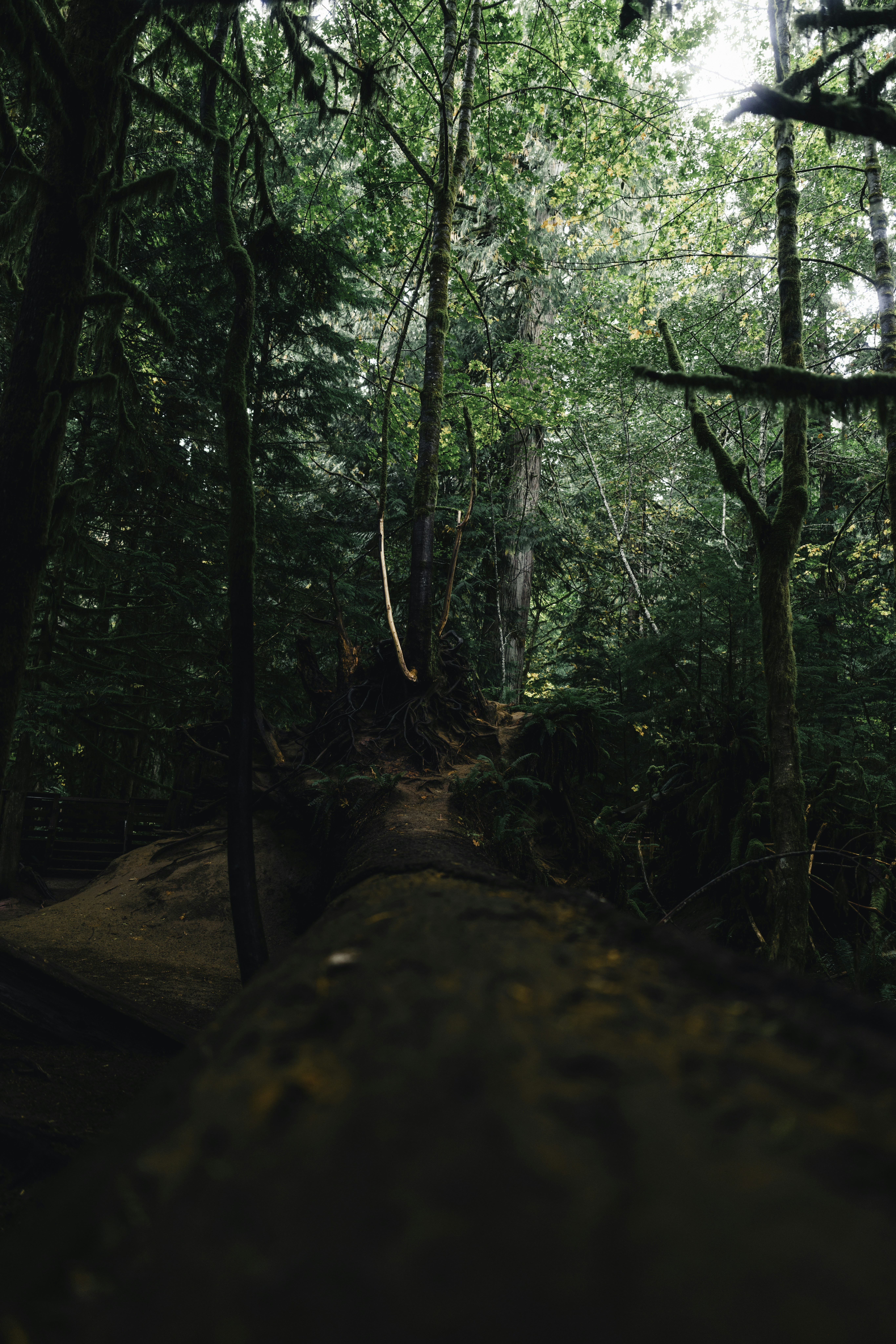 Photo by lureofadventure