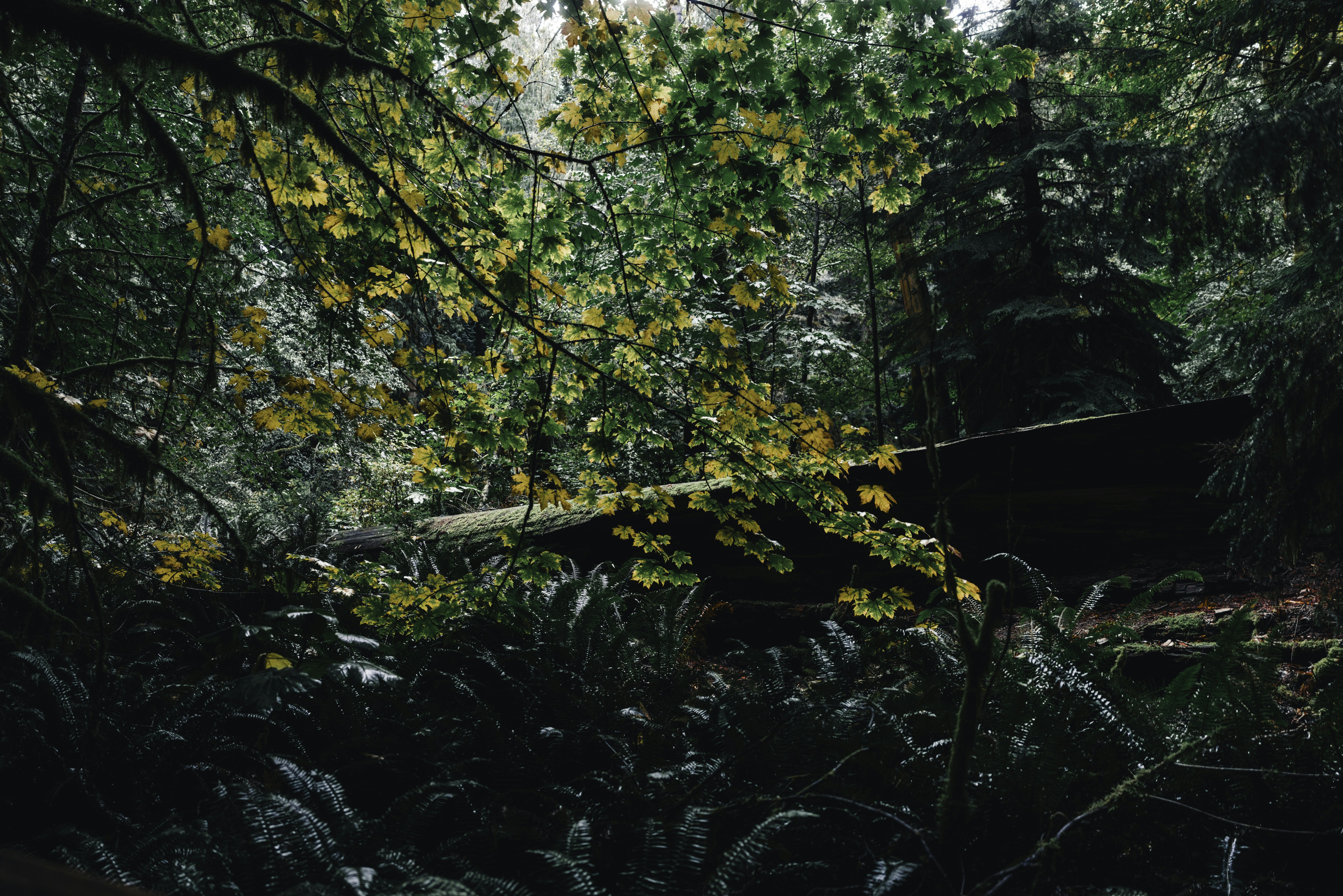 Photo by lureofadventure