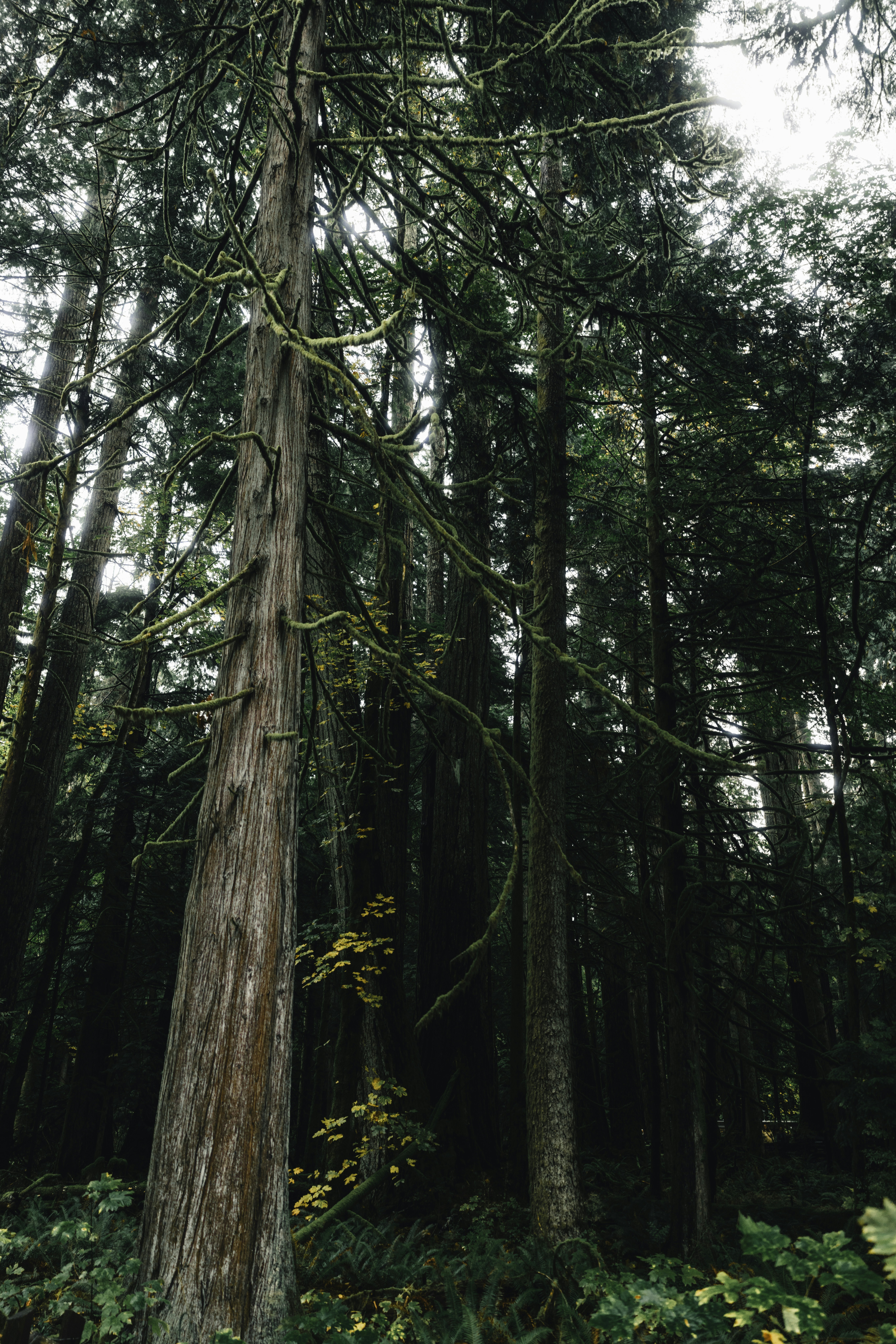 Photo by lureofadventure