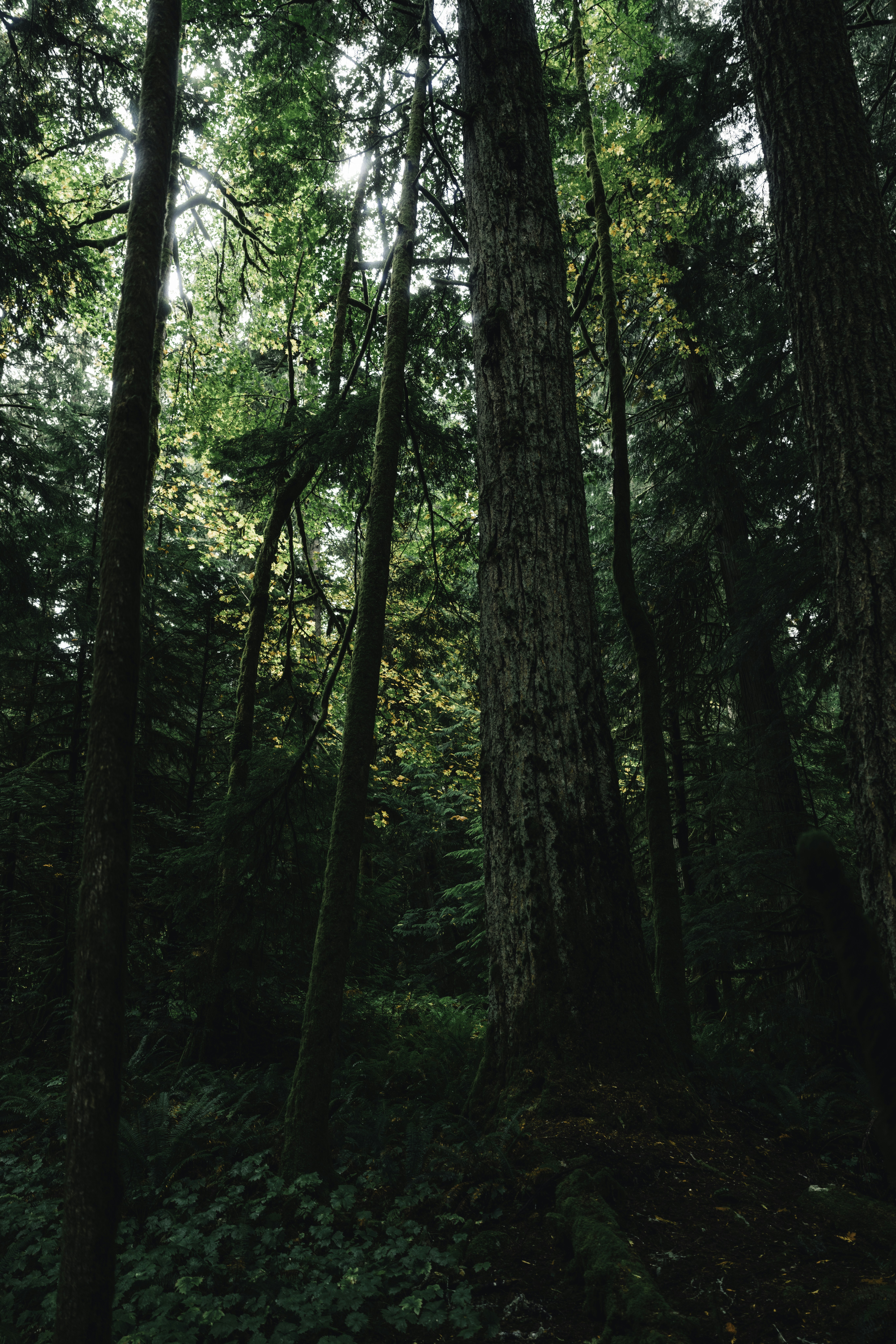 Photo by lureofadventure