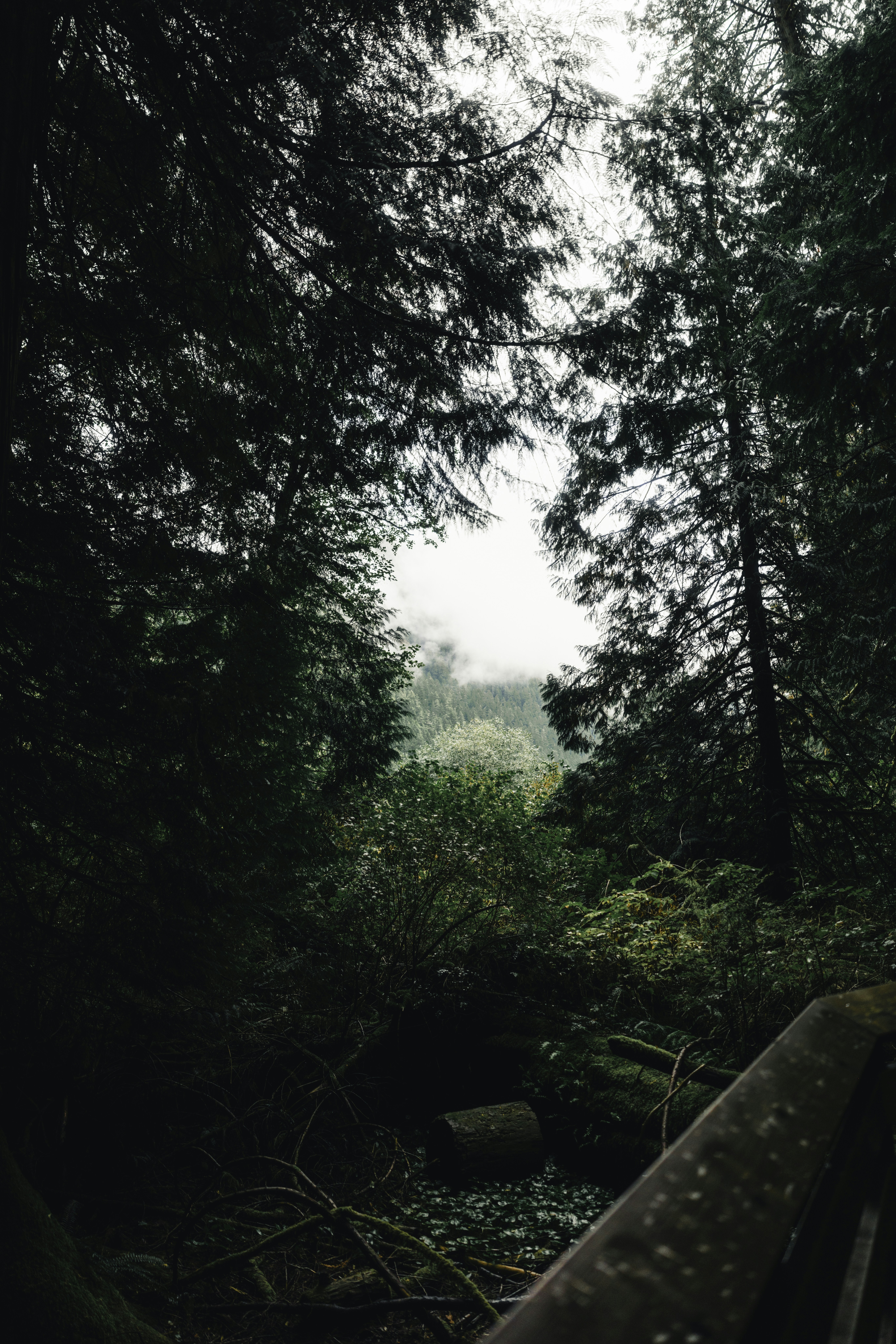 Photo by lureofadventure