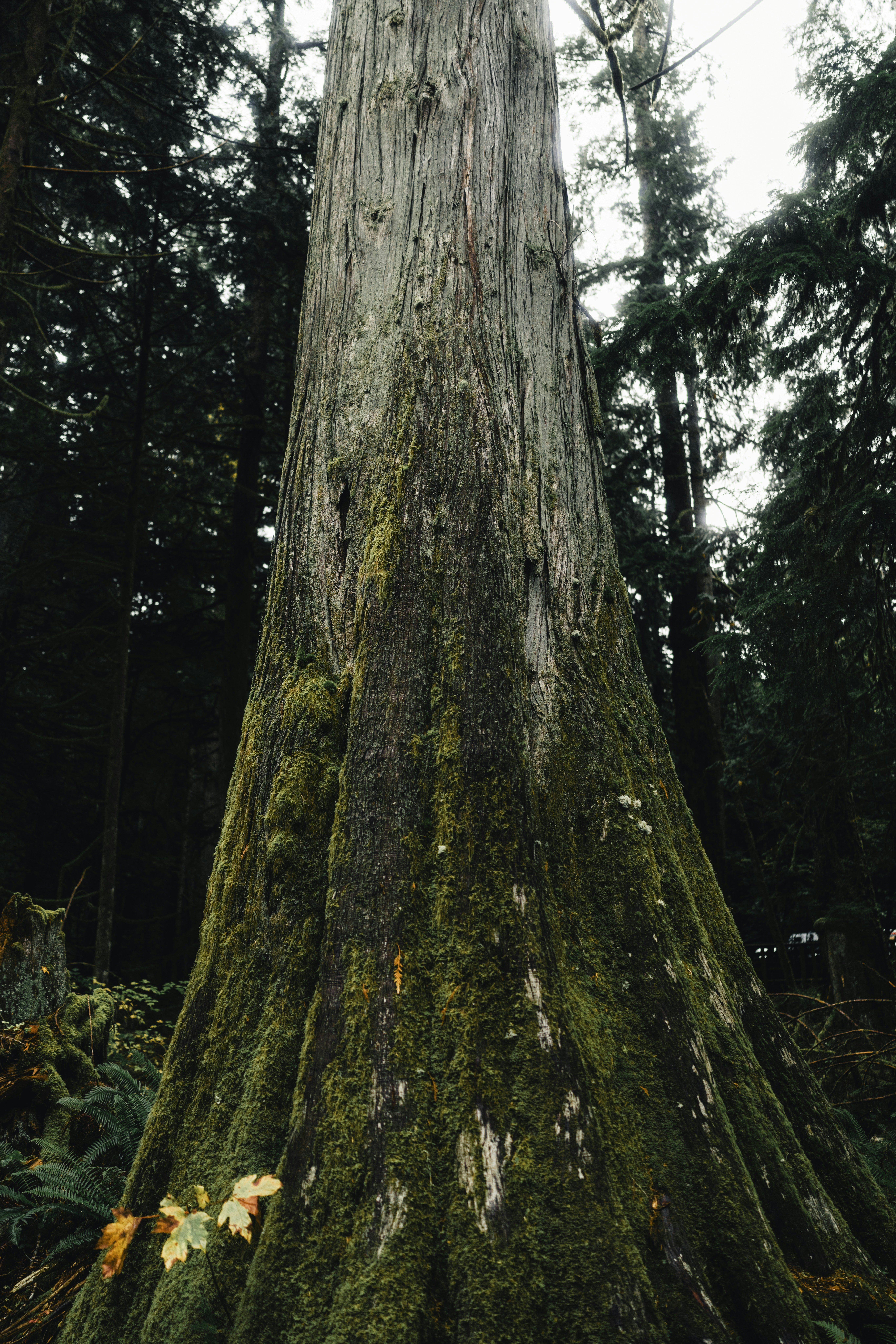 Photo by lureofadventure