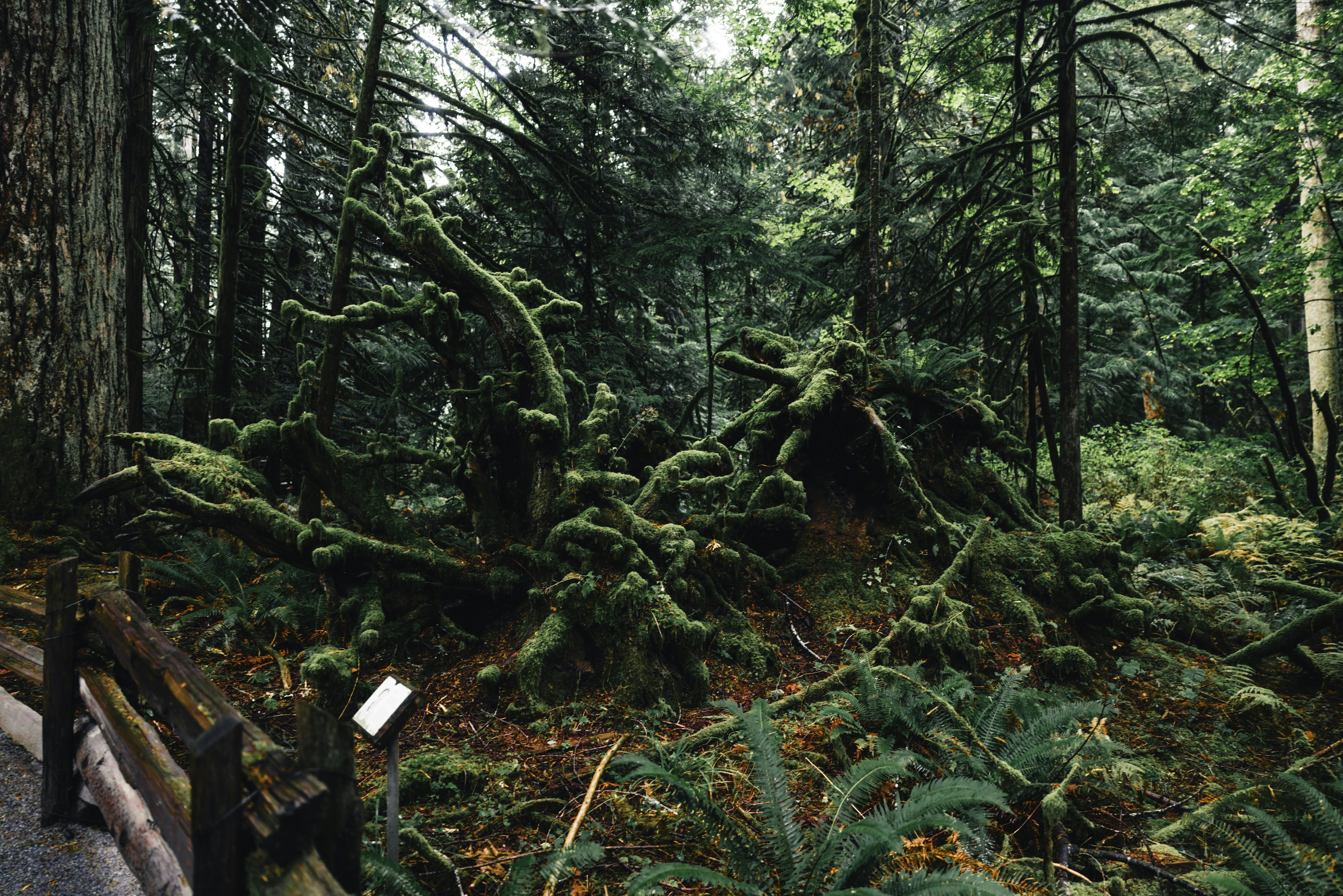 Photo by lureofadventure