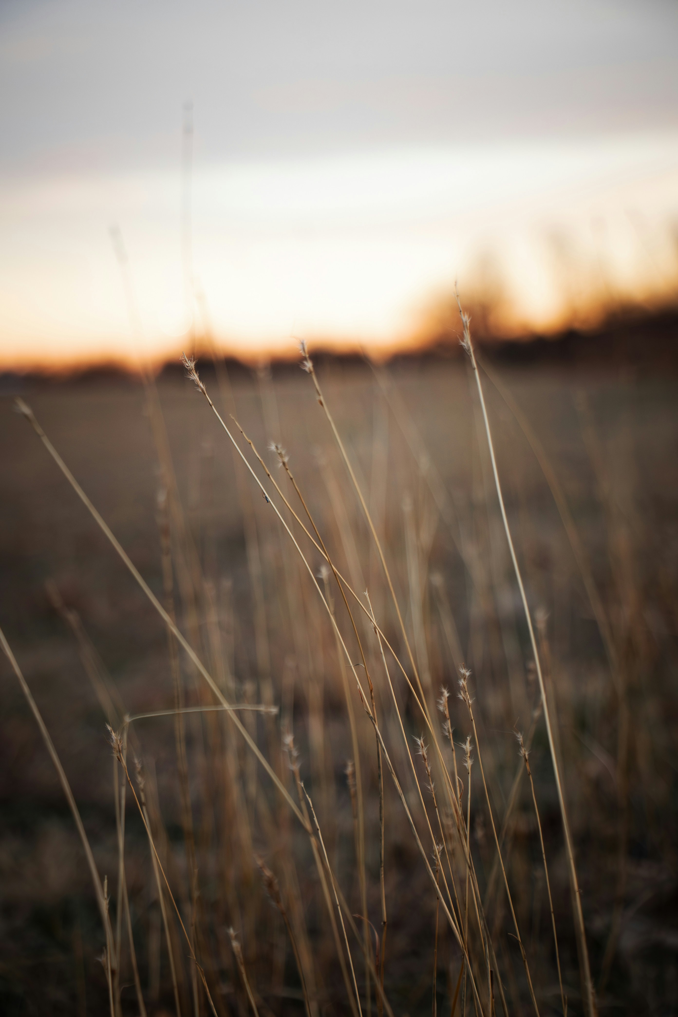 Photo by curriedflute