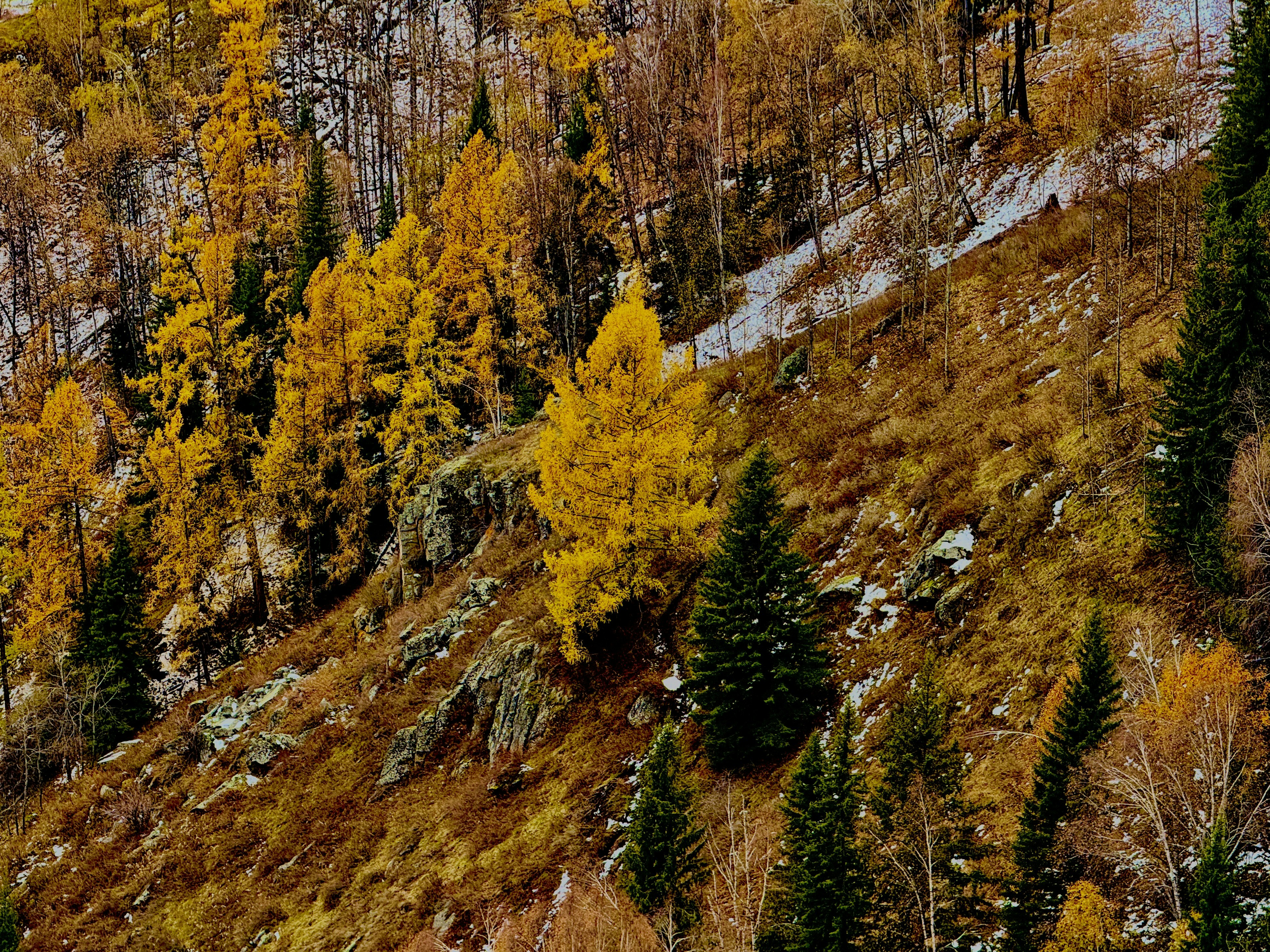 Photo by space_launch_system