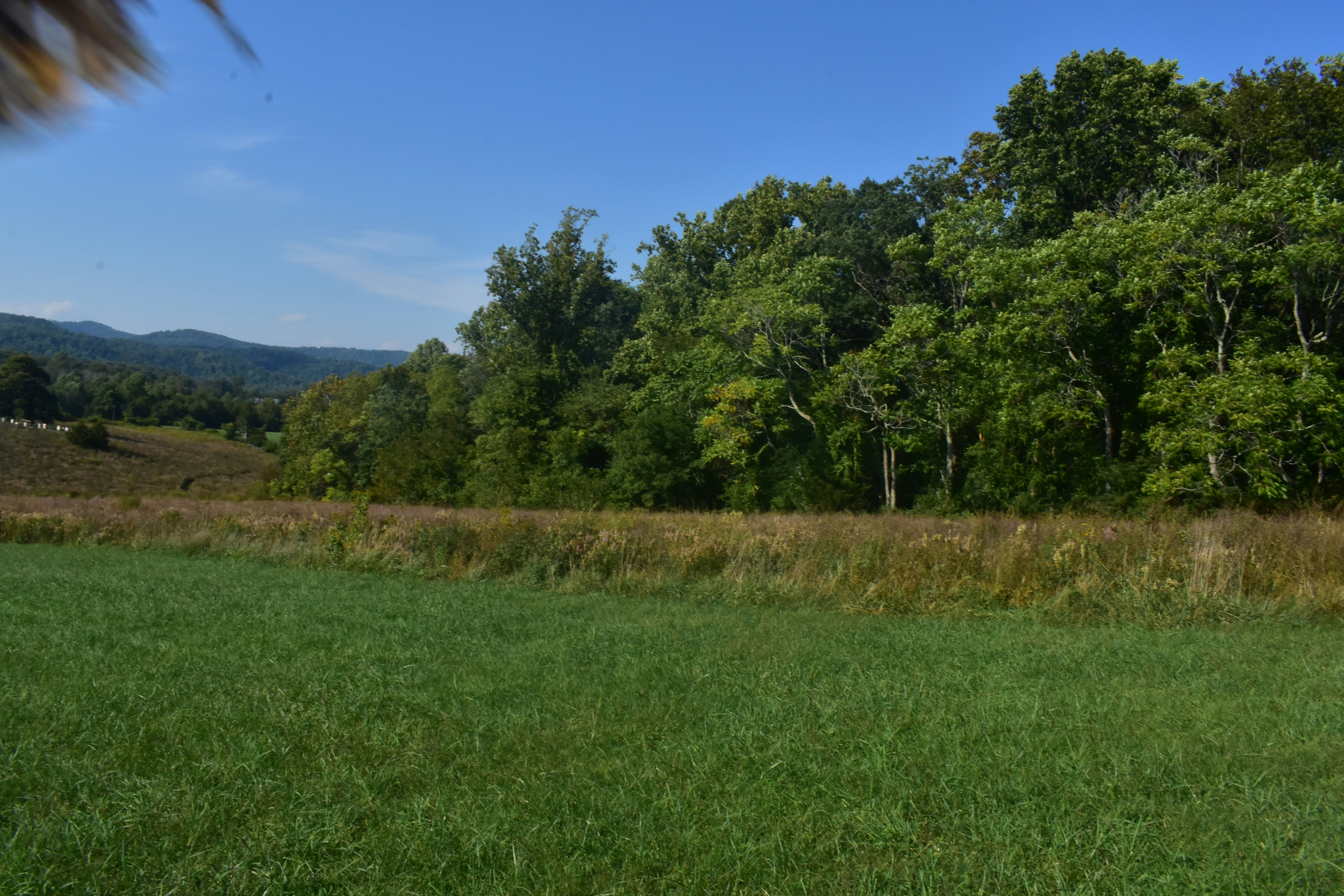 Briar Knoll Park