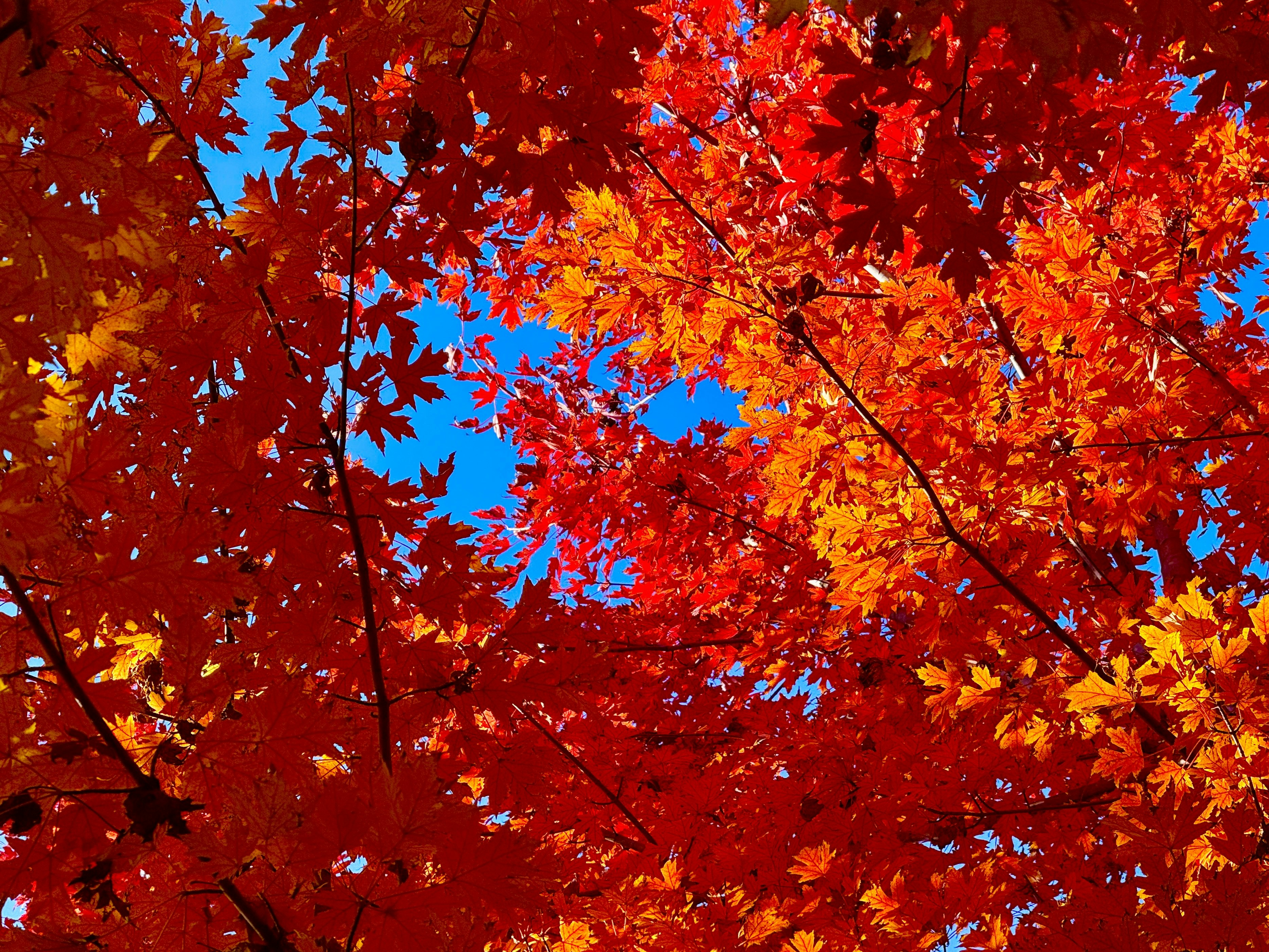 Photo by space_launch_system