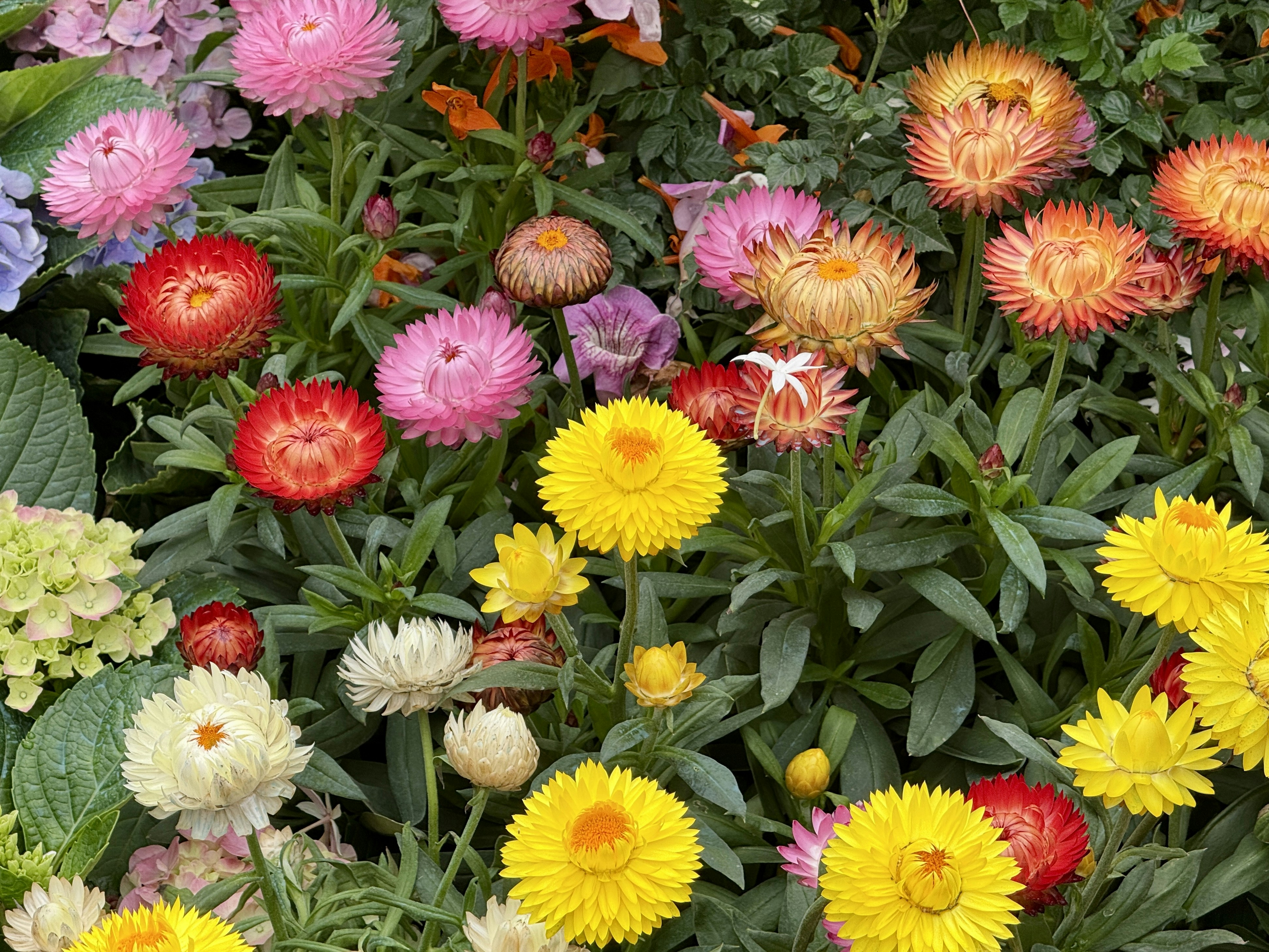 Photo by space_launch_system