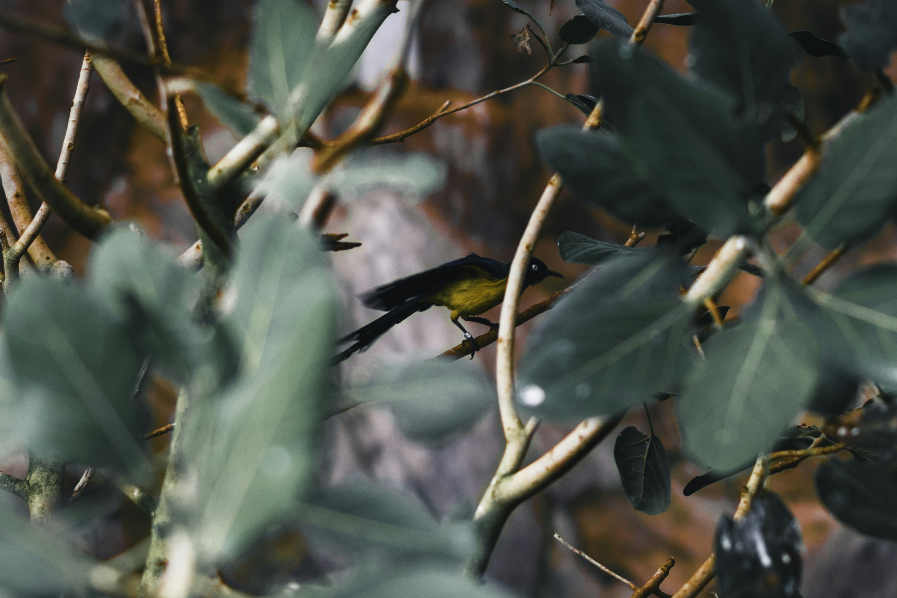 Photo by lureofadventure