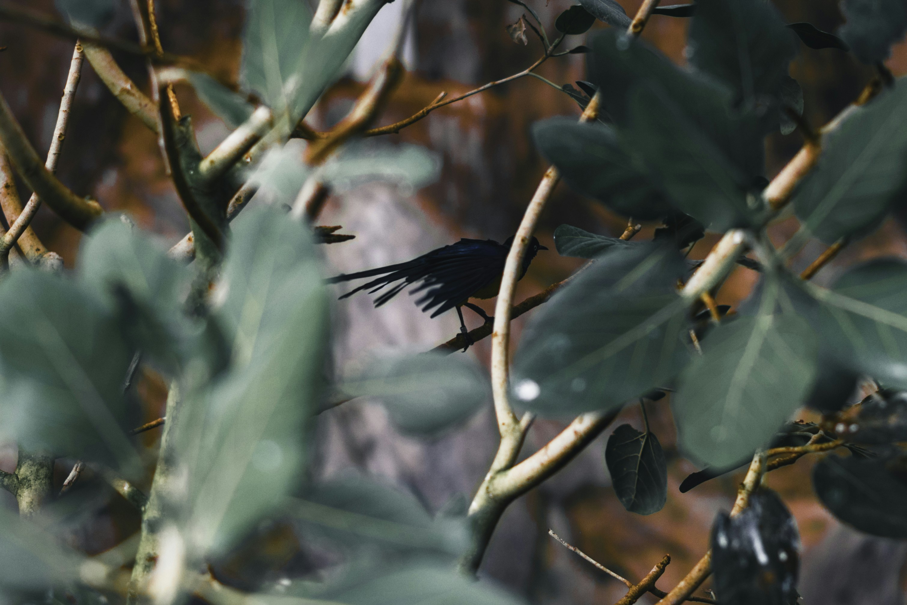 Photo by lureofadventure