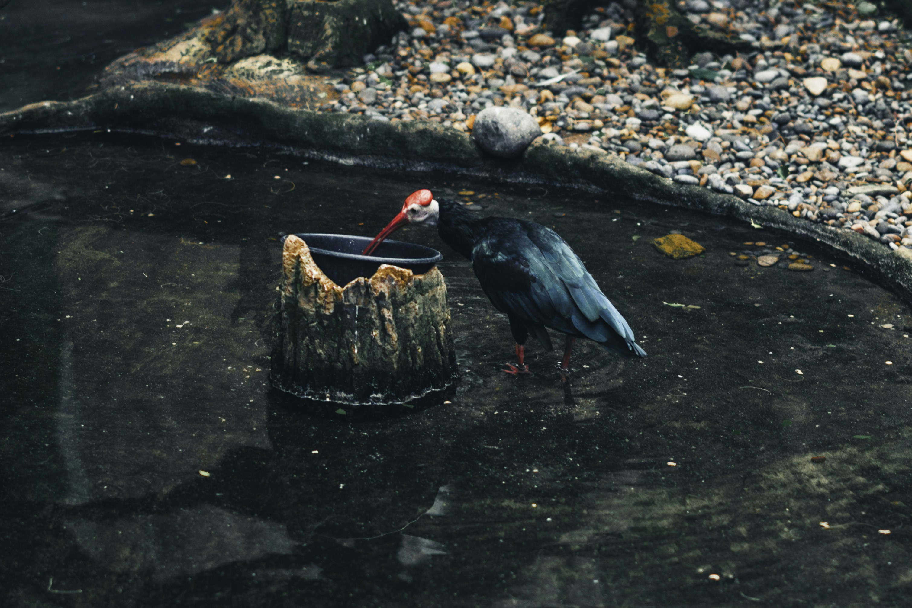 Photo by lureofadventure