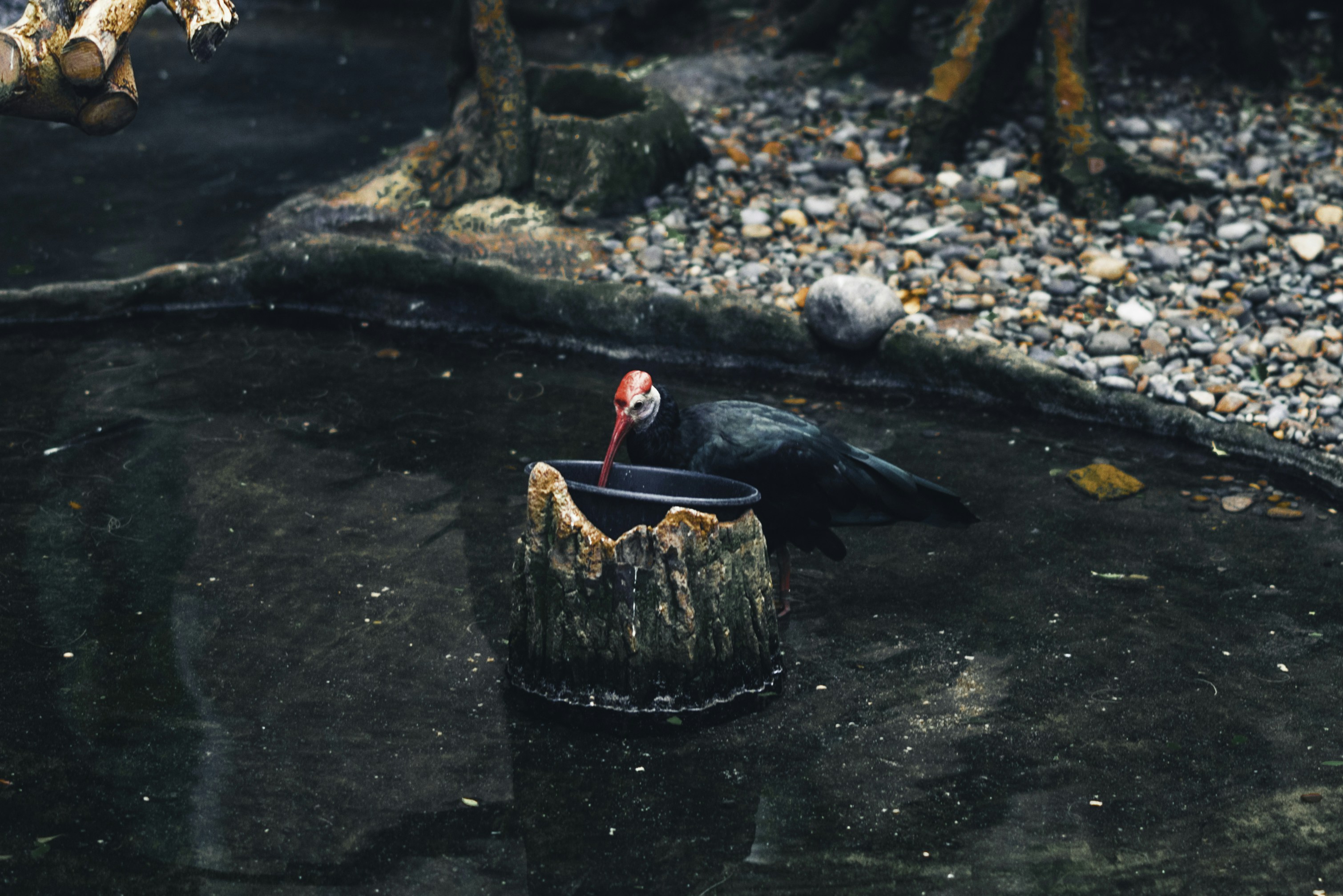 Photo by lureofadventure