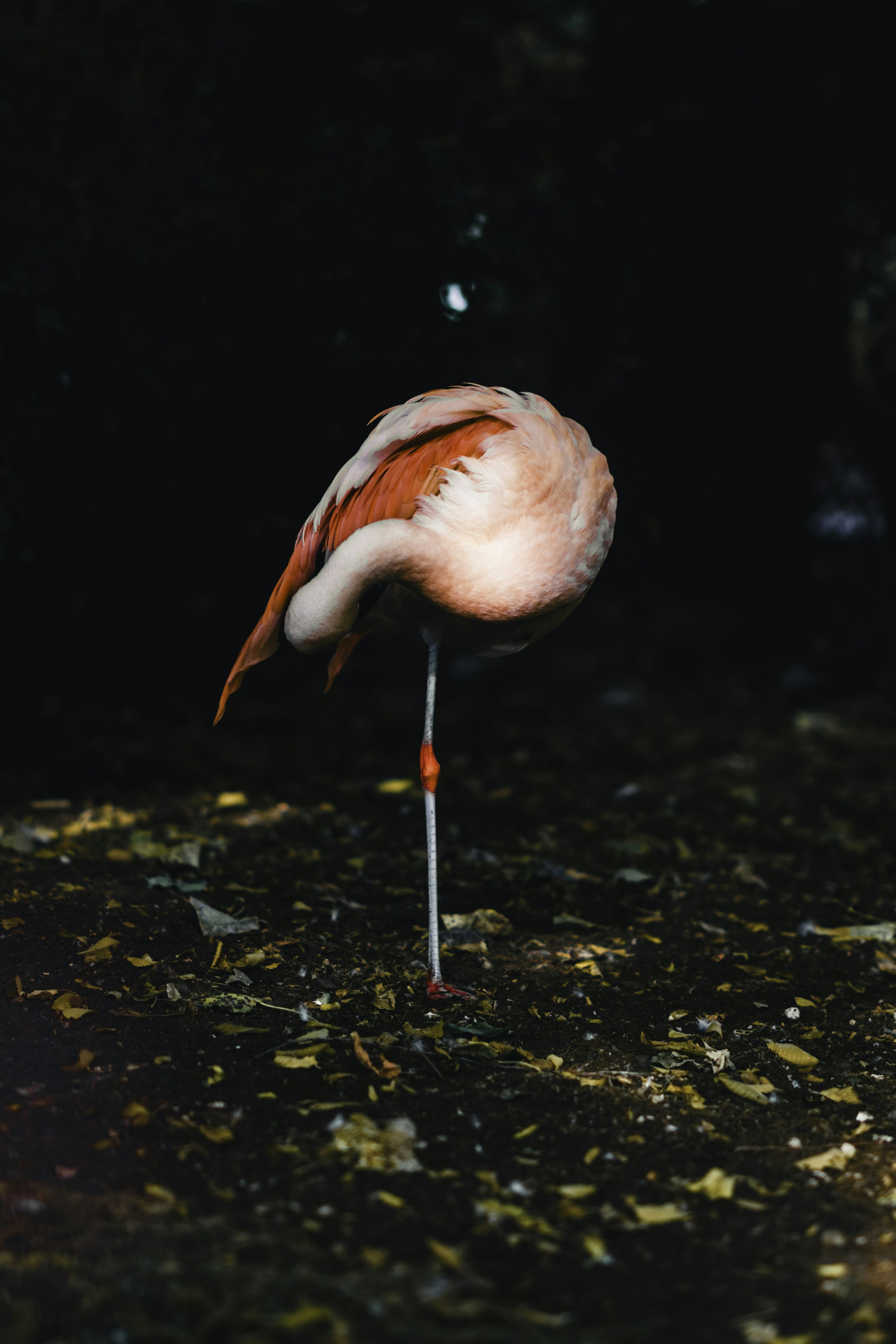 Photo by lureofadventure