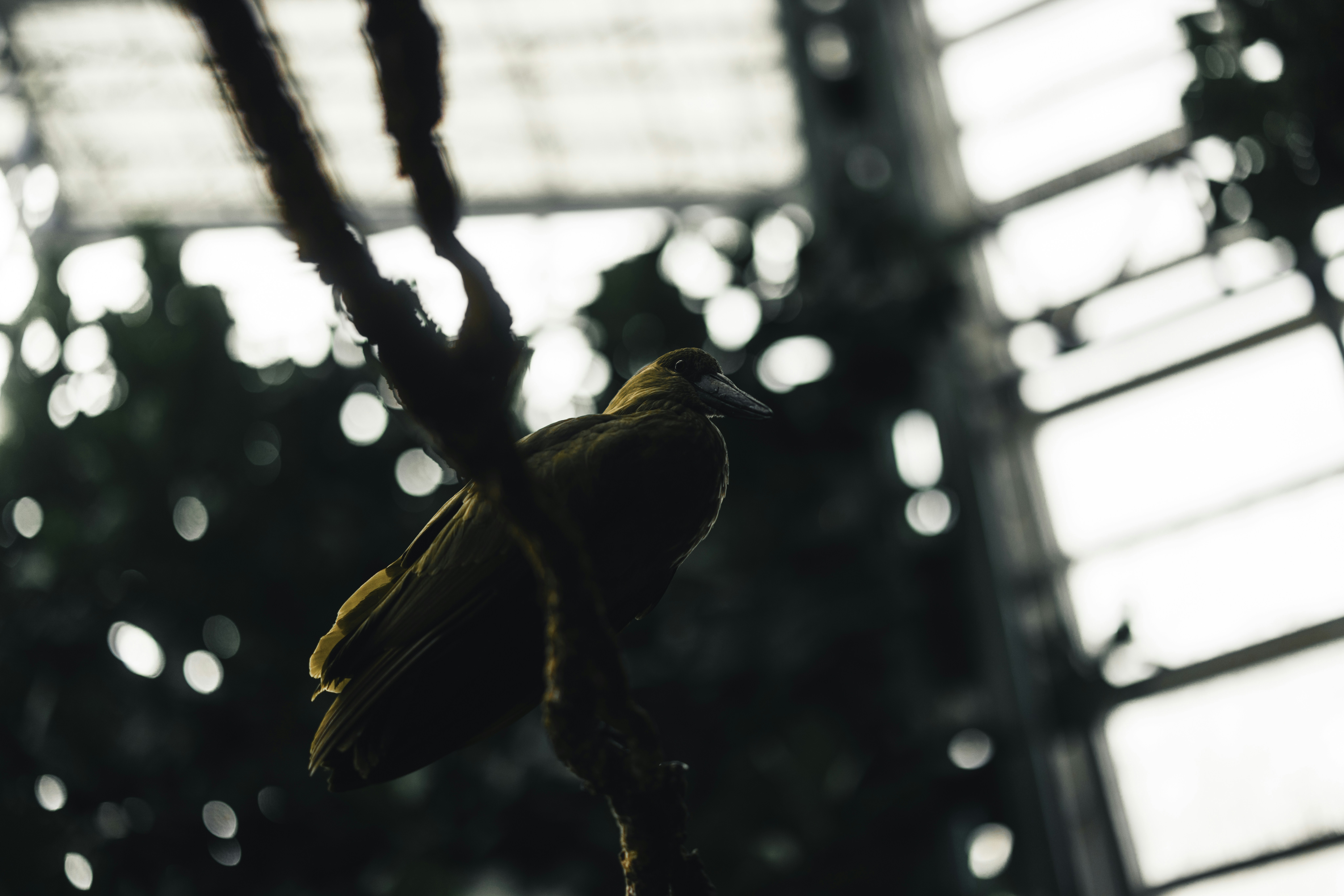 Photo by lureofadventure