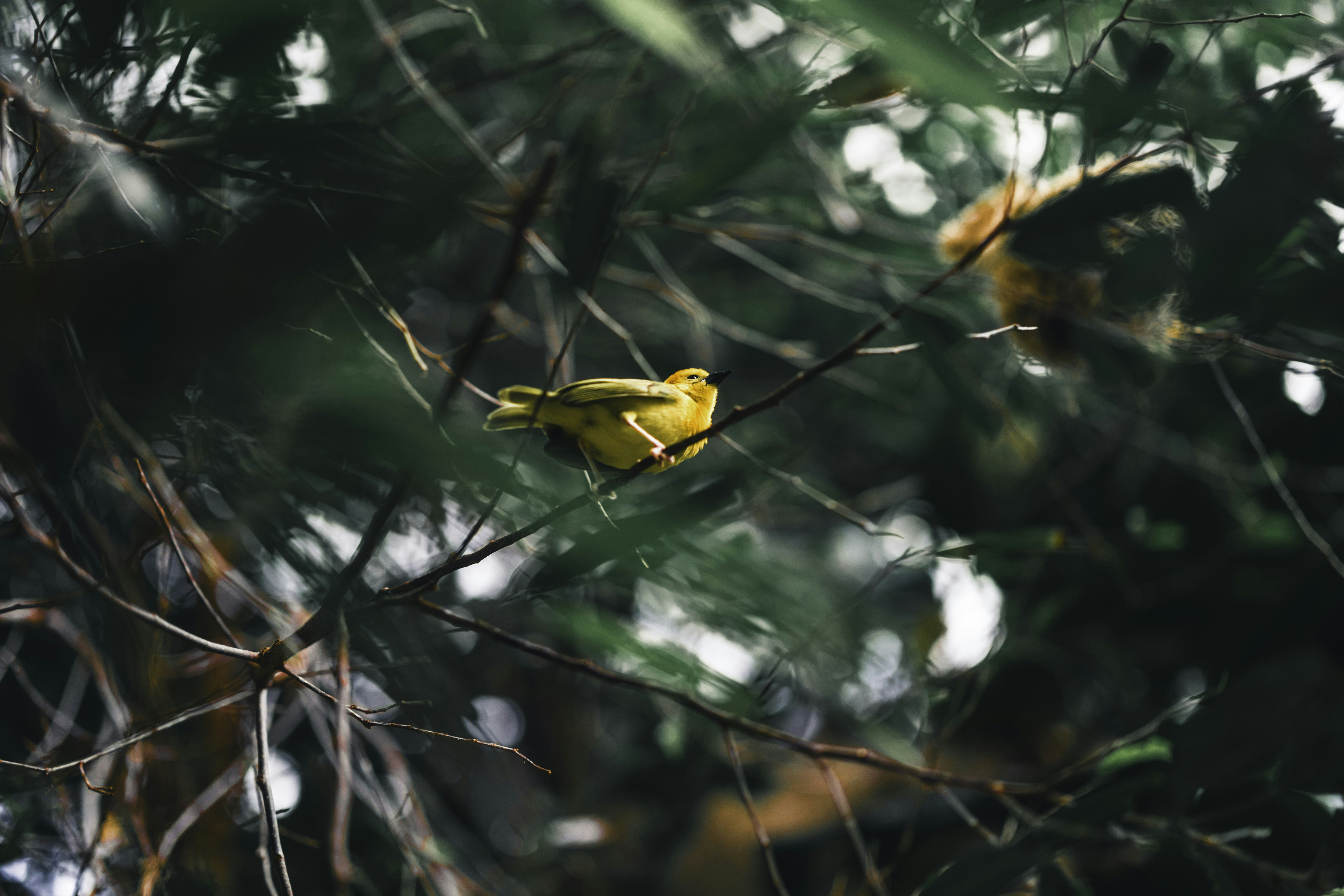 Photo by lureofadventure