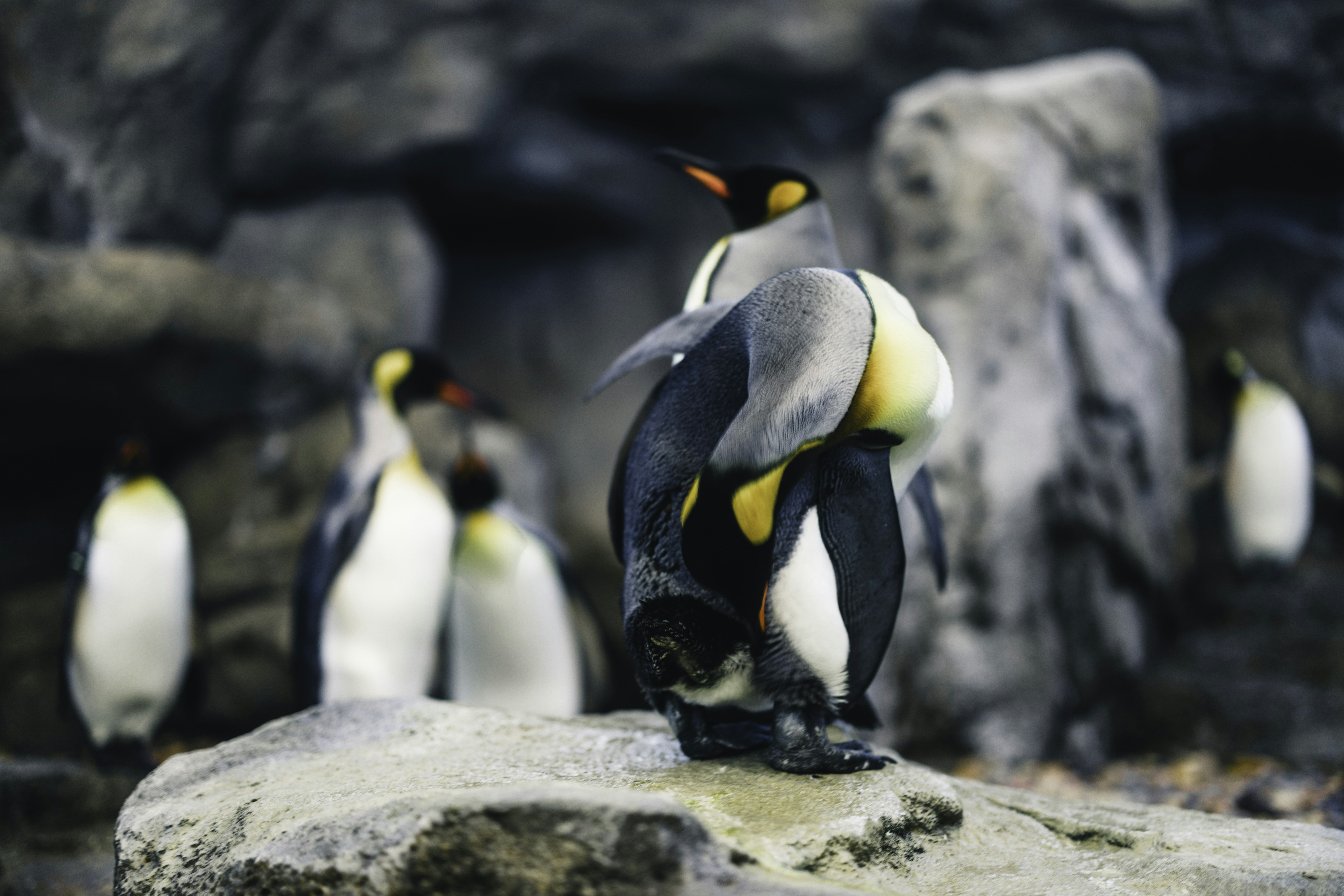 Photo by lureofadventure