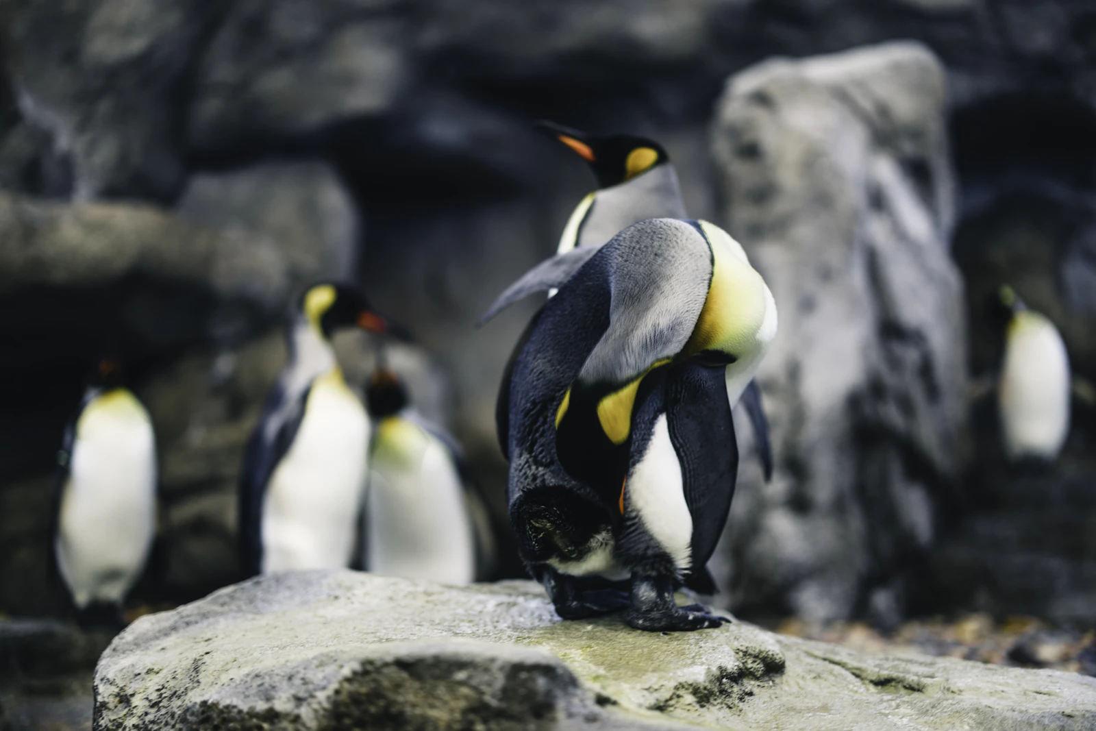 Photo · Ali Kazal / Unsplash