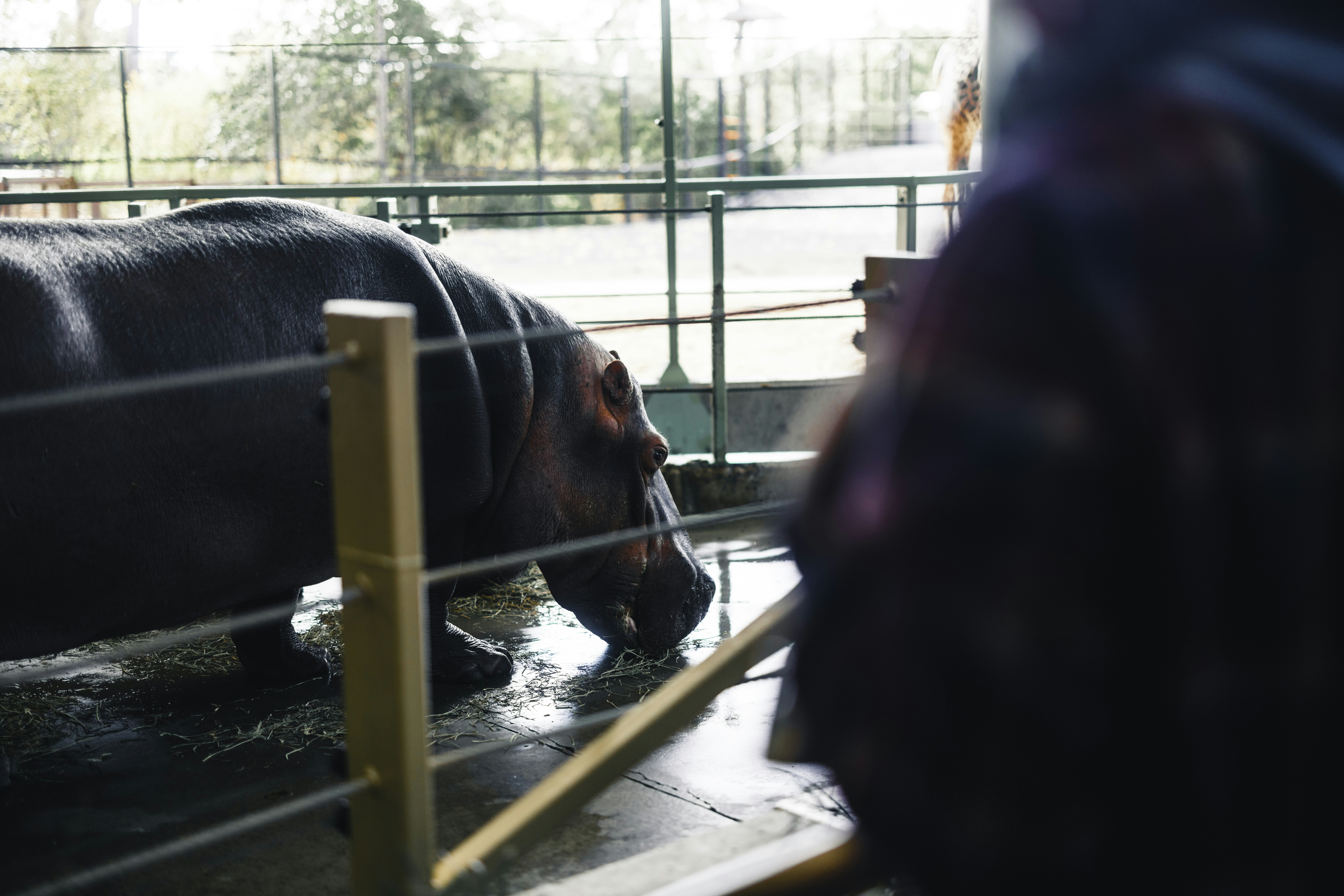 Photo by lureofadventure