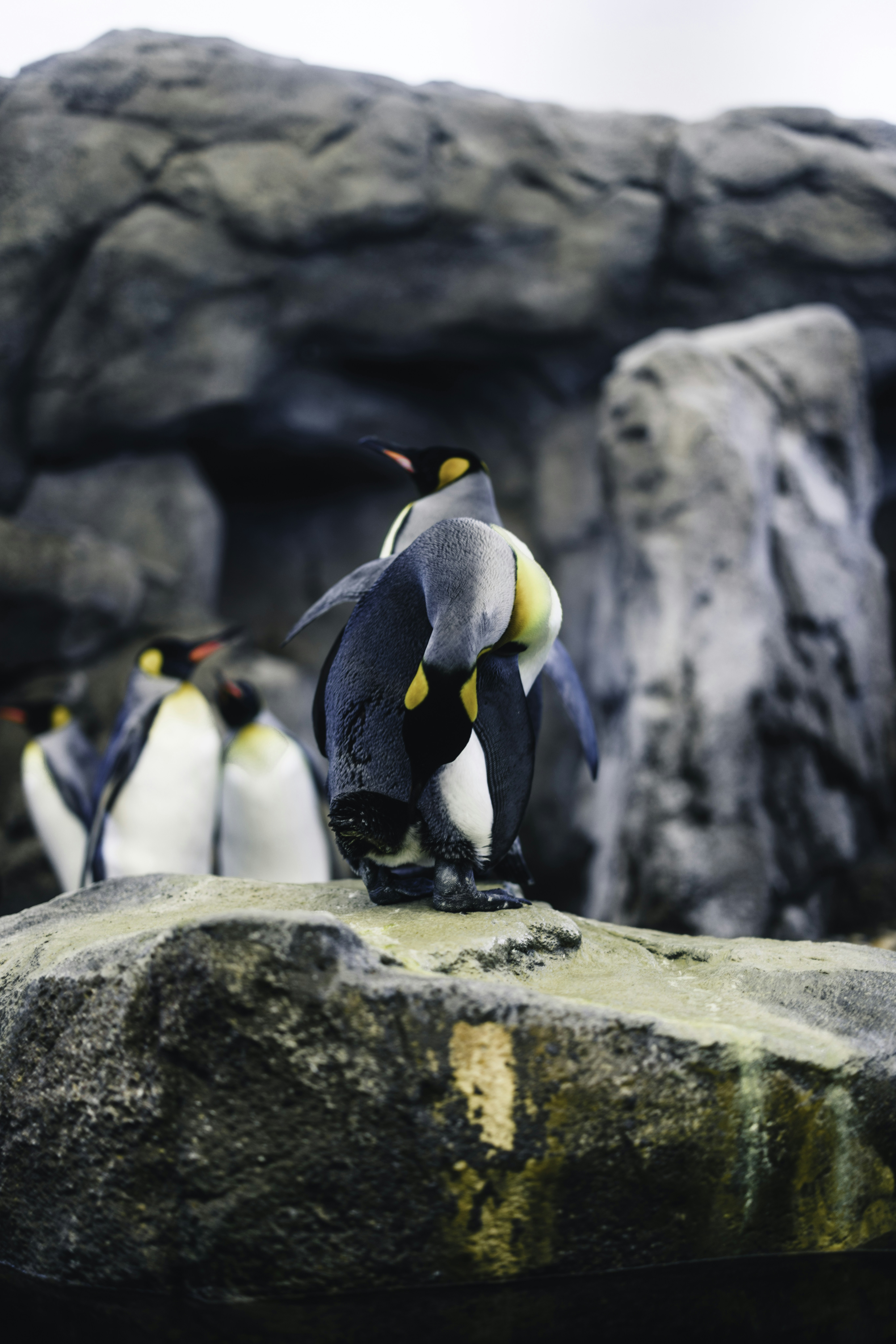 Photo by lureofadventure