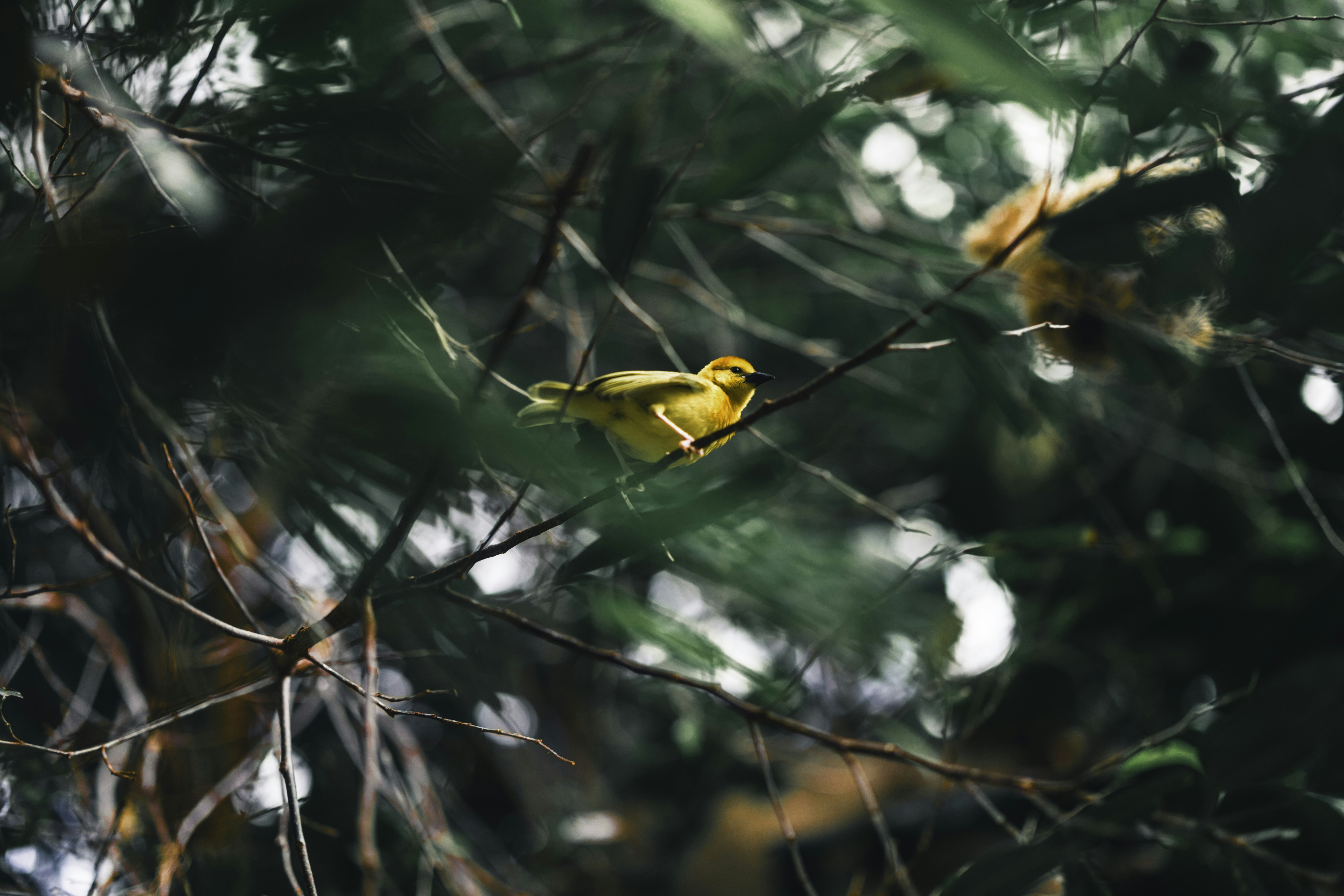 Photo by lureofadventure