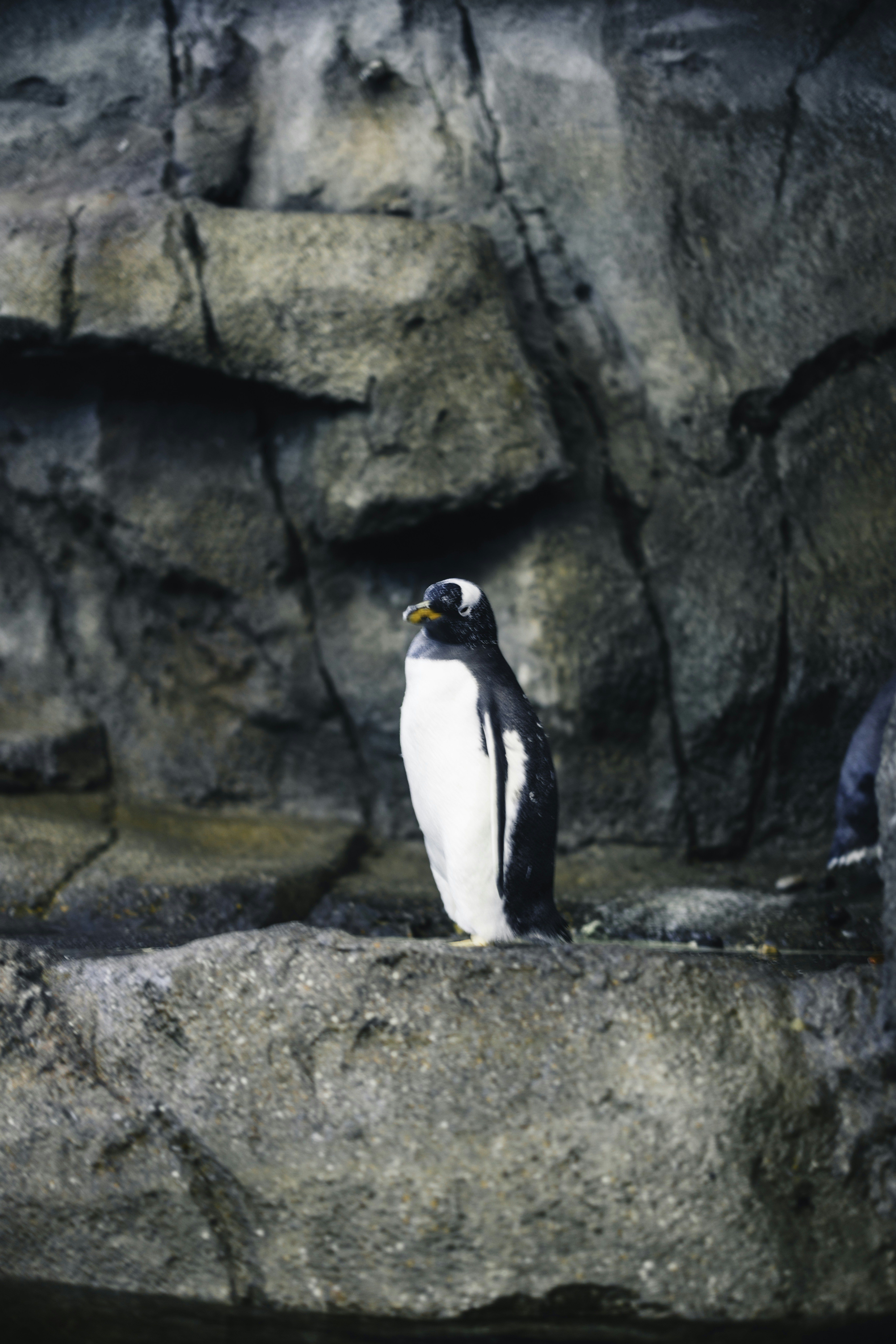 Photo by lureofadventure