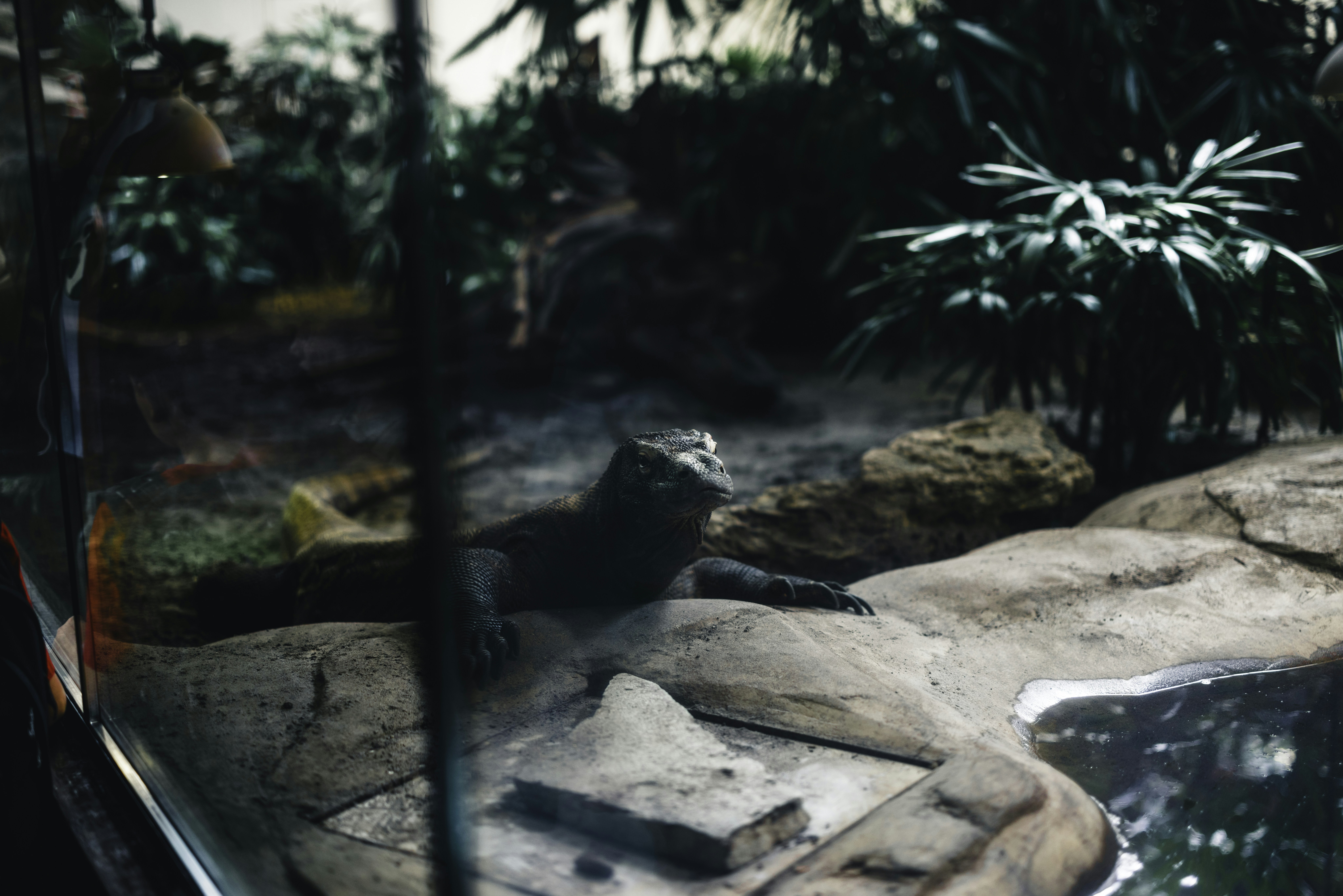 Photo by lureofadventure