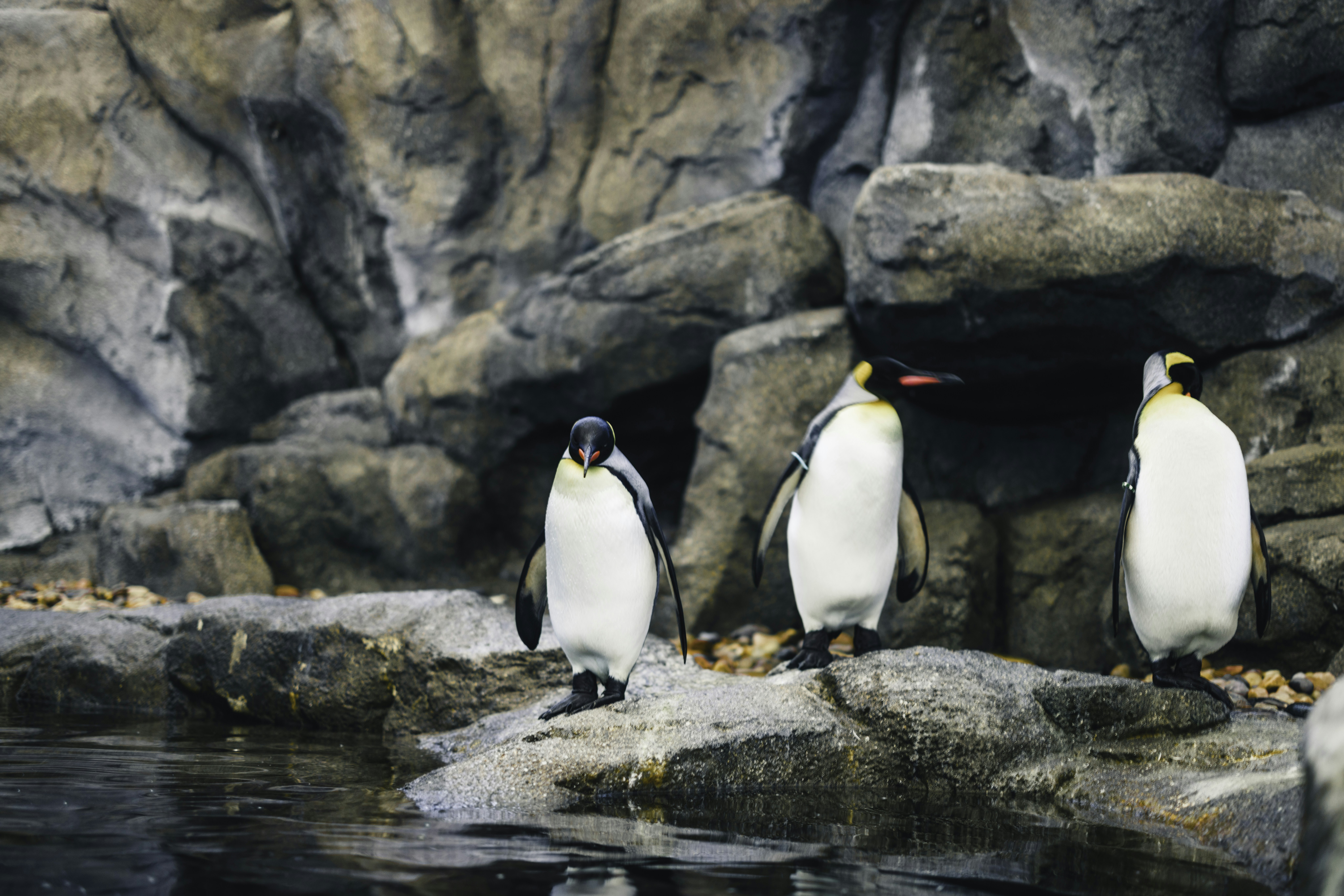 Photo by lureofadventure