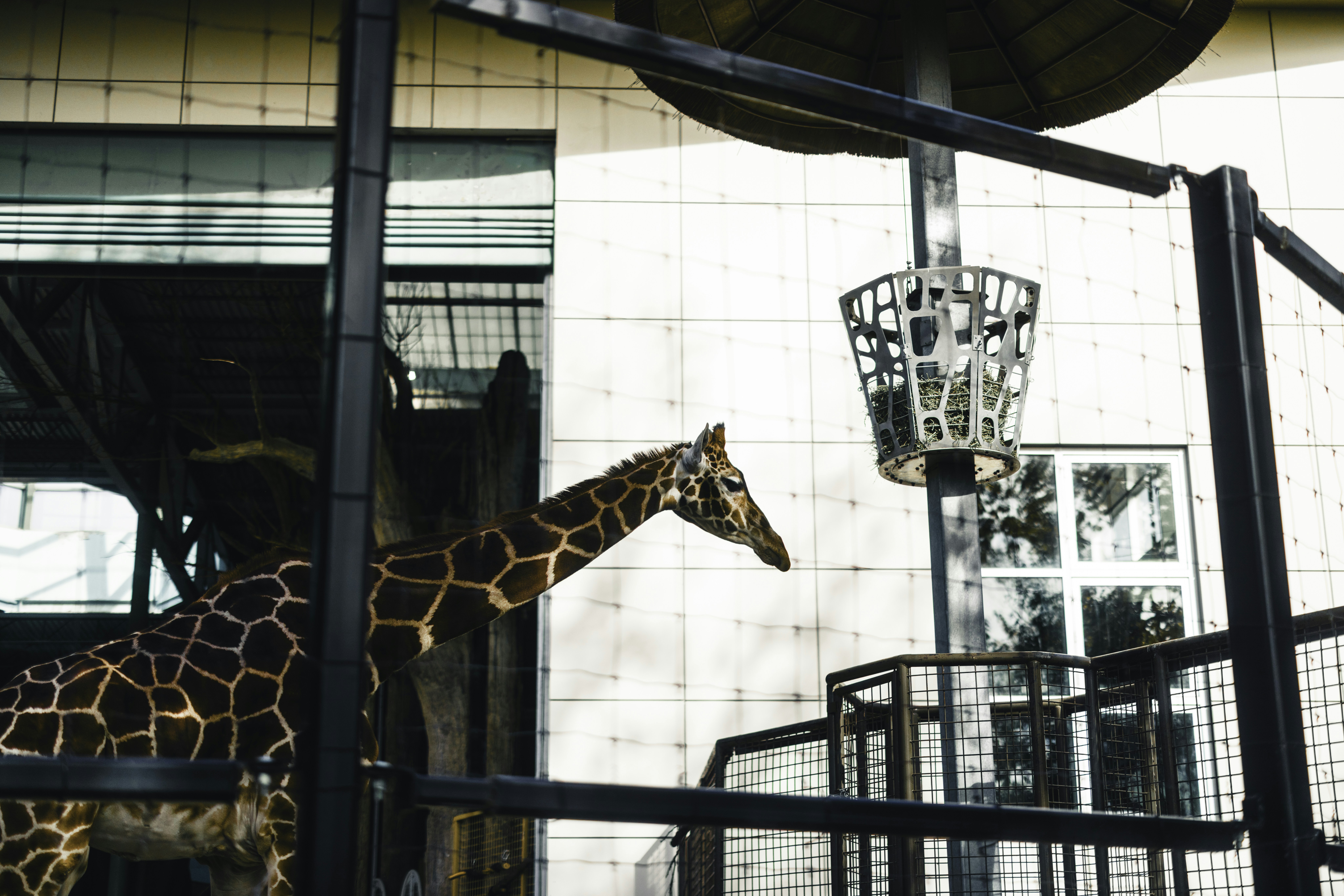 Photo by lureofadventure