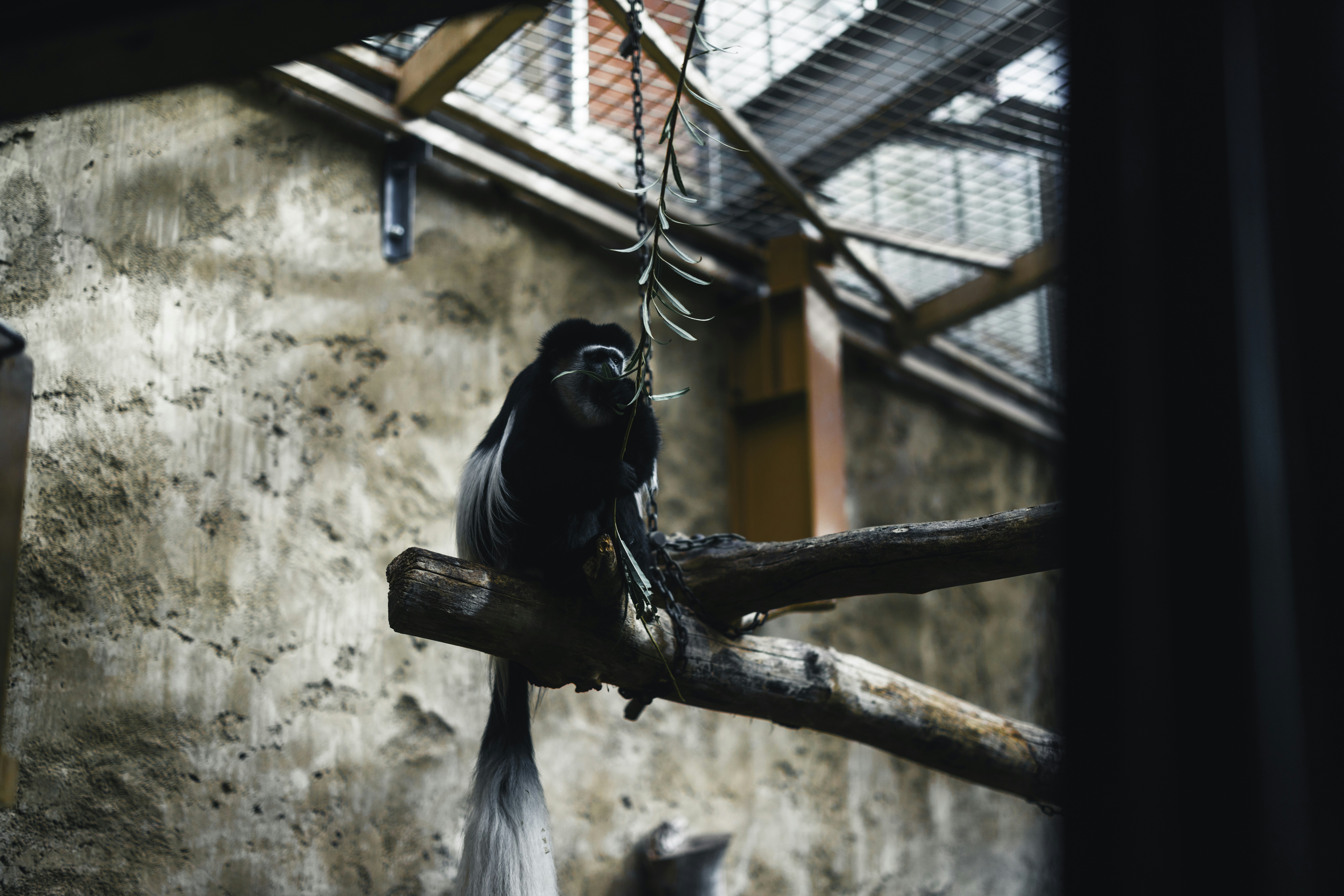 Photo by lureofadventure