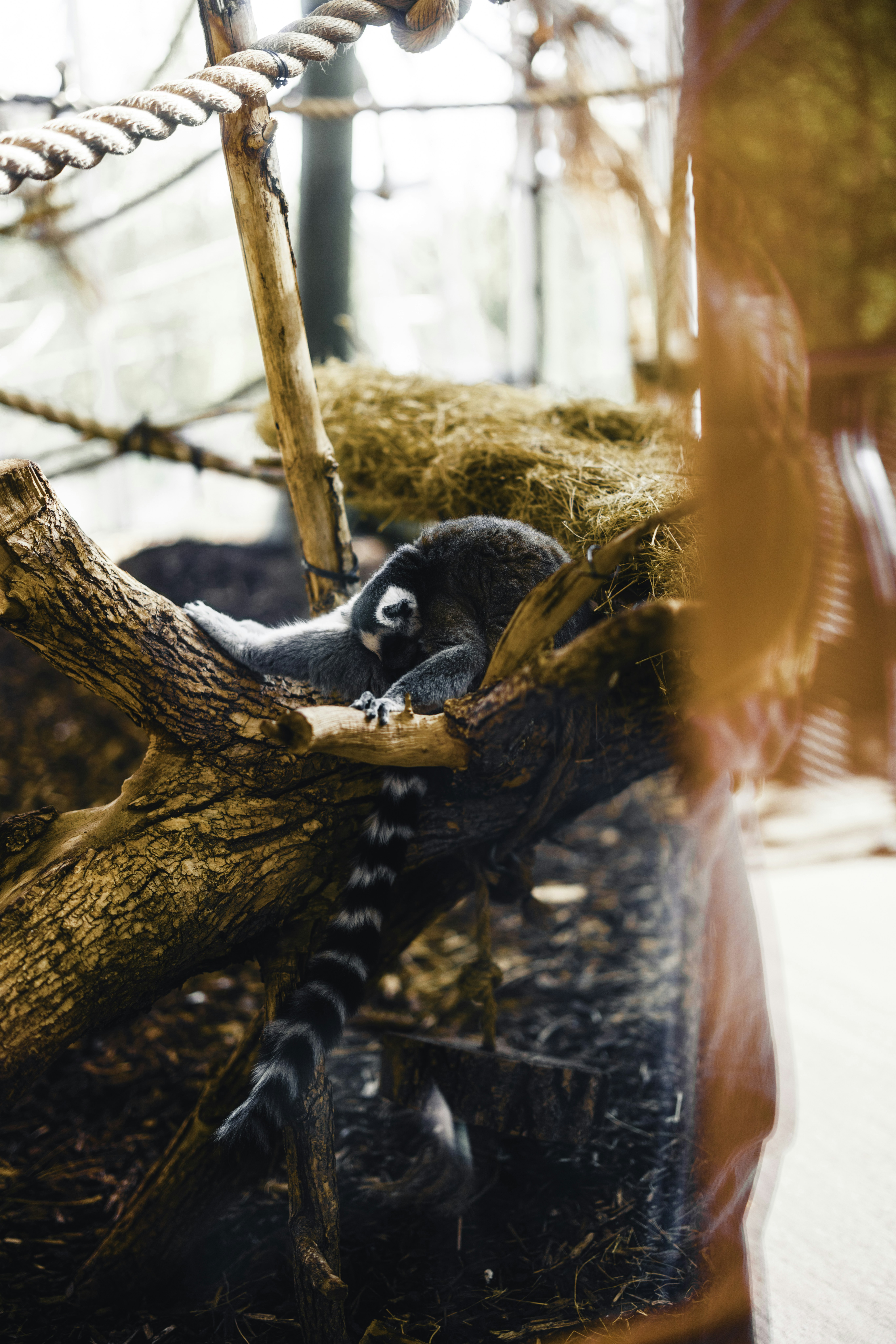 Photo by lureofadventure