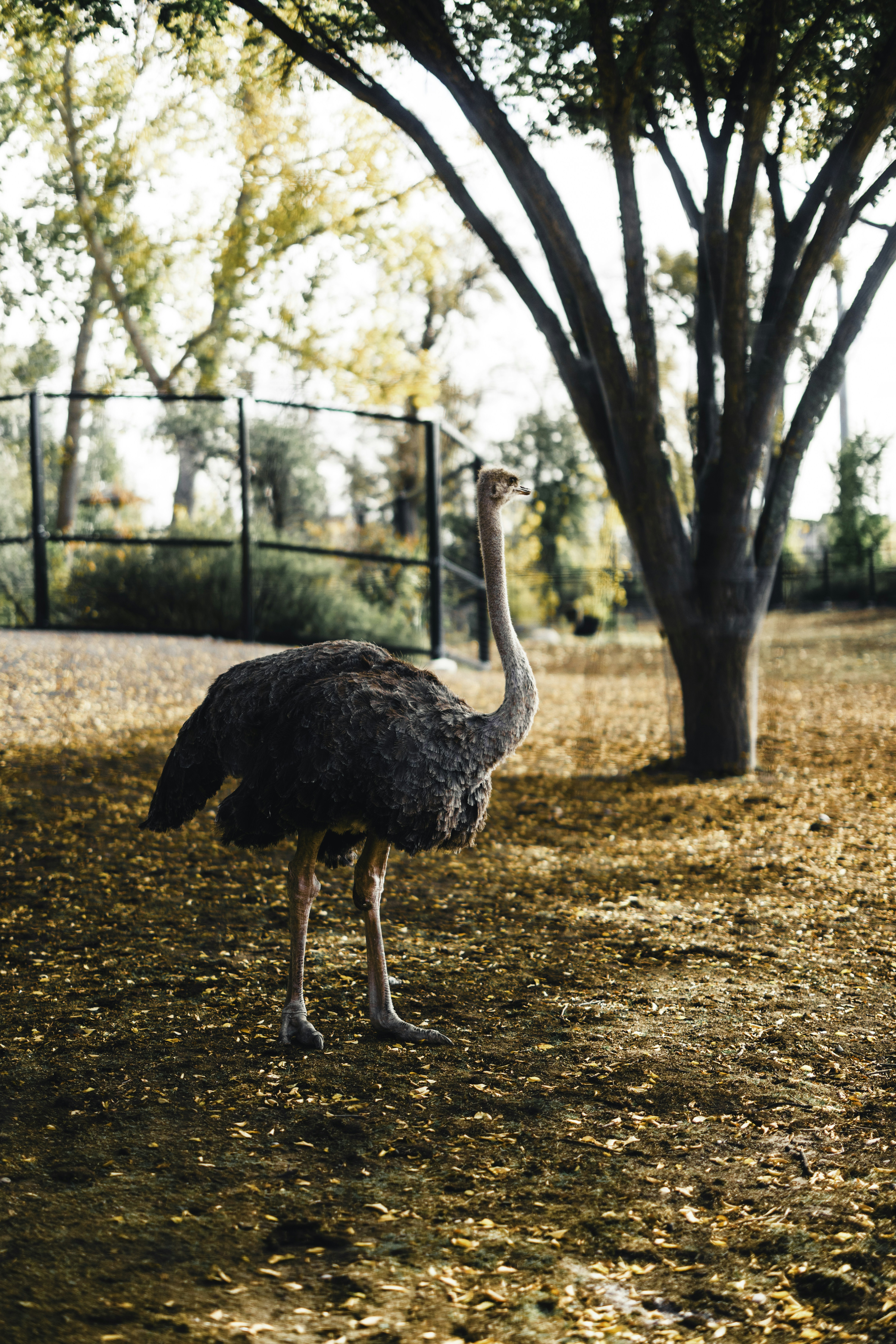 Photo by lureofadventure