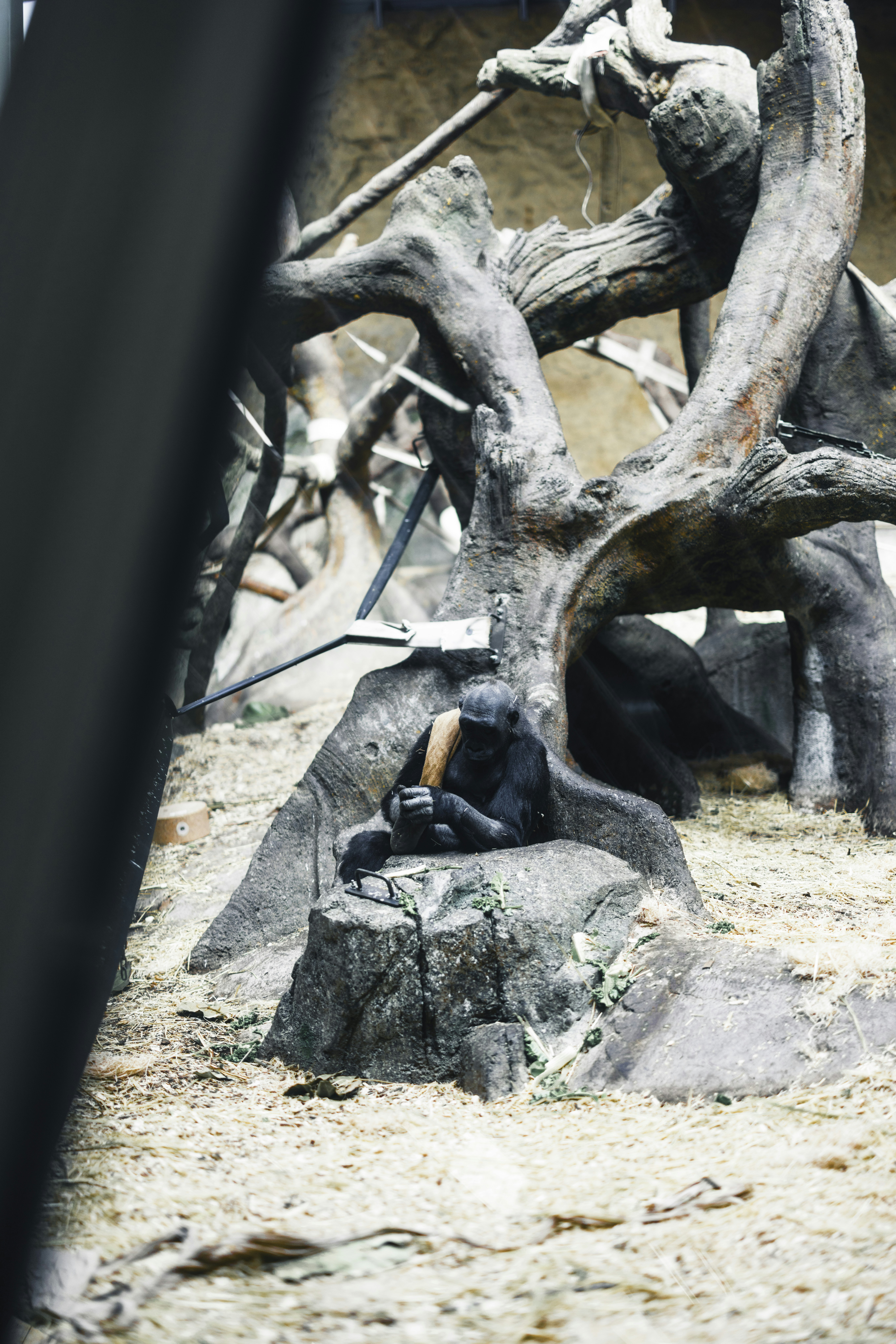 Photo by lureofadventure