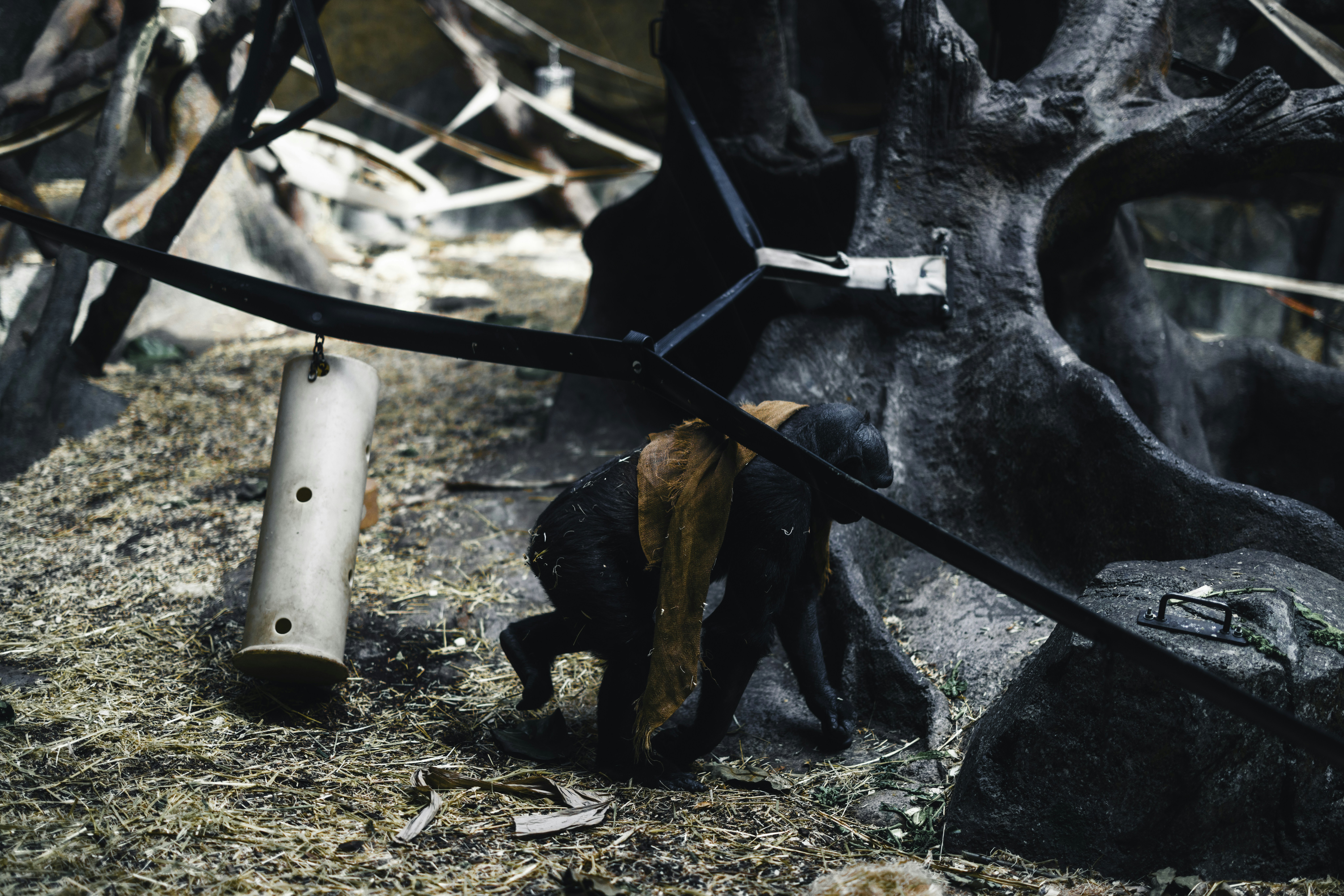 Photo by lureofadventure