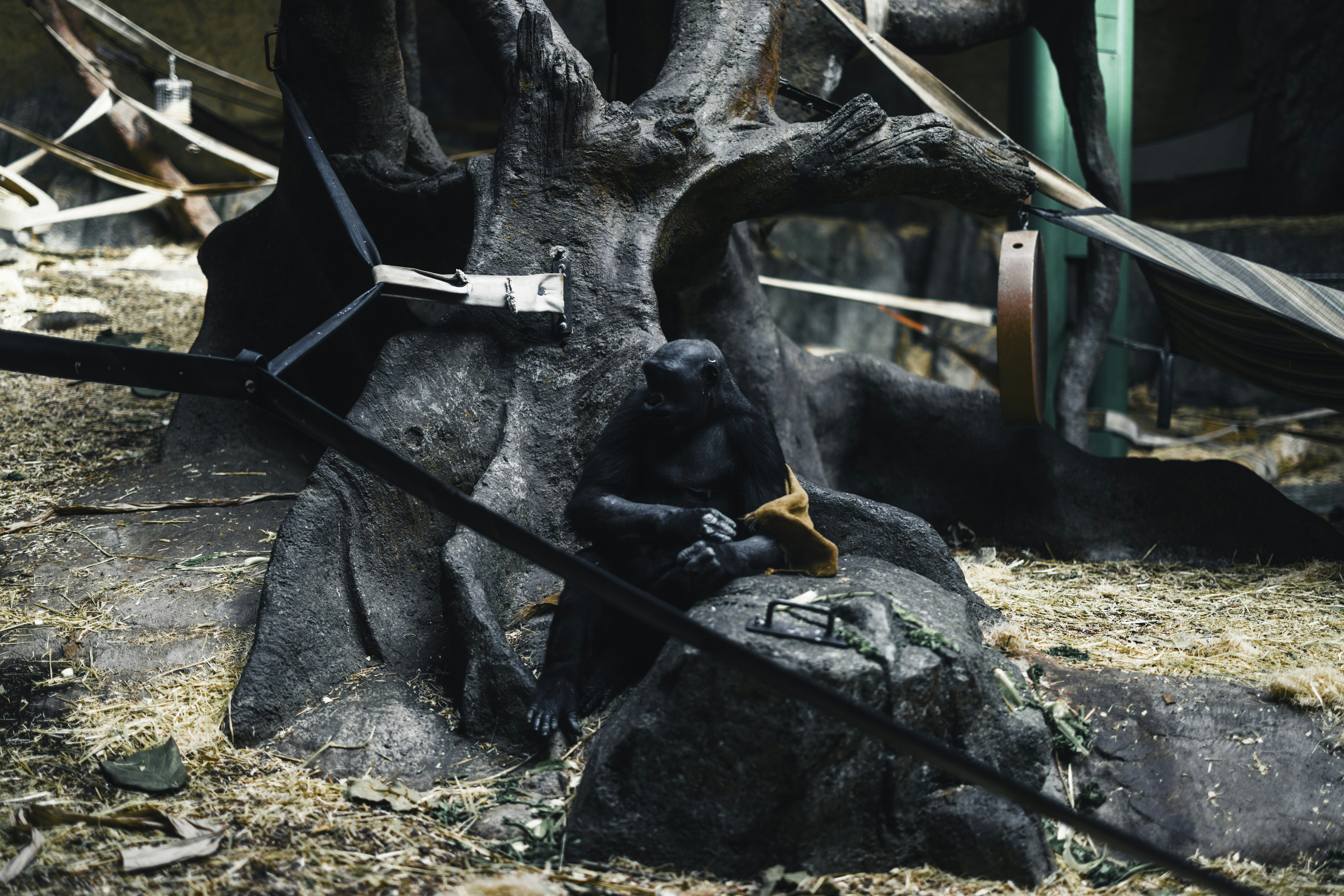 Un gorilla siede su una roccia vicino a un albero.