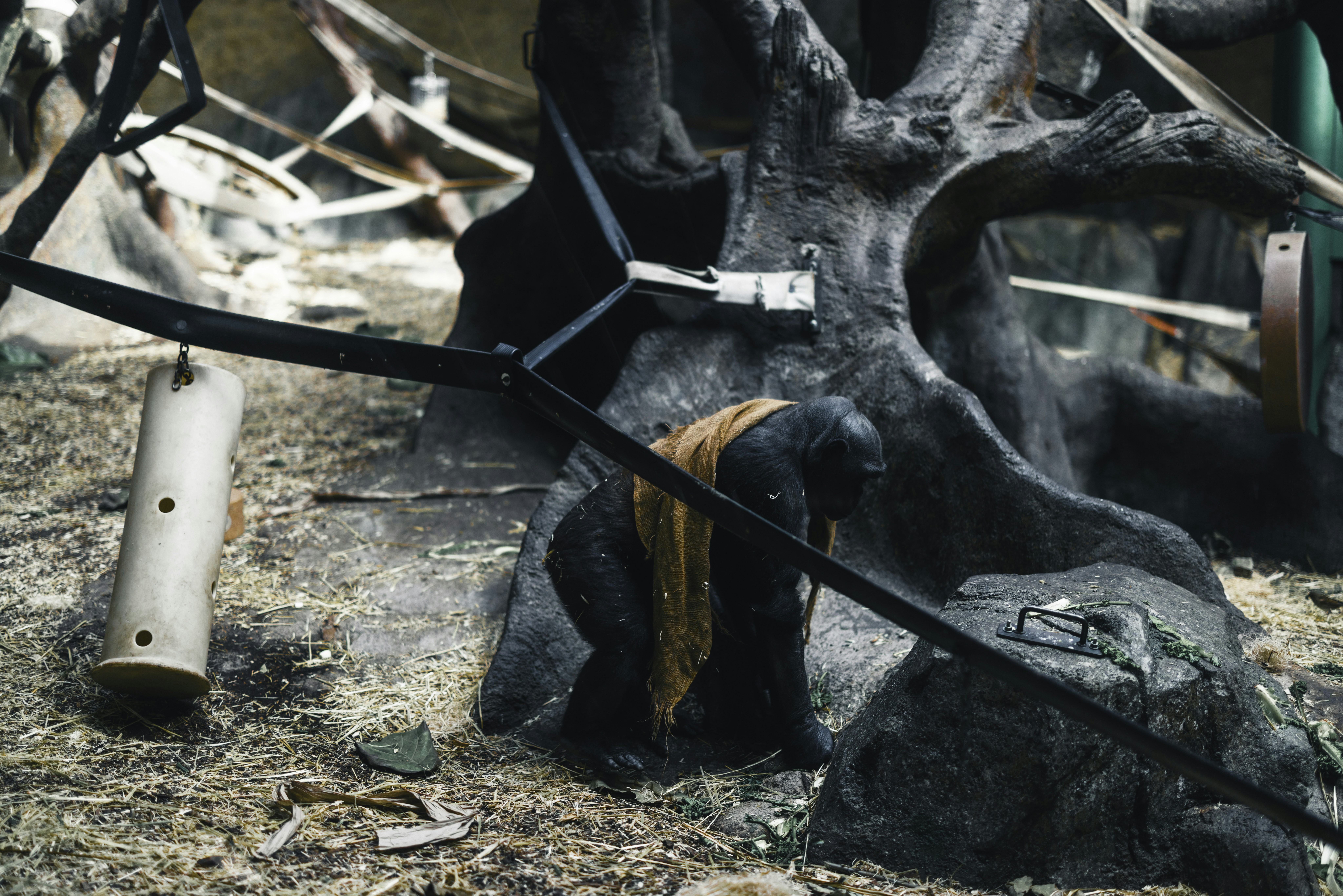 Photo by lureofadventure