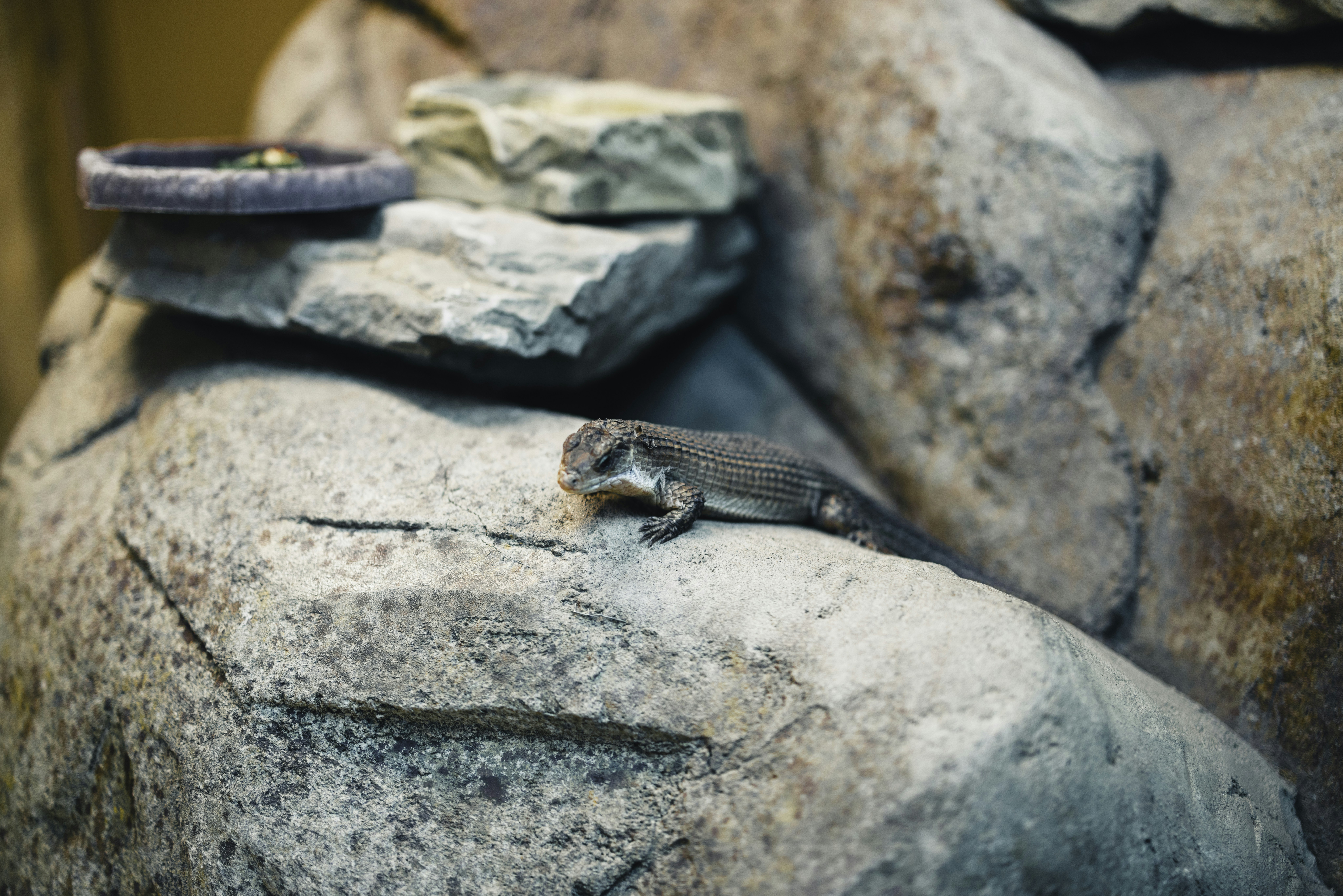 Photo by lureofadventure