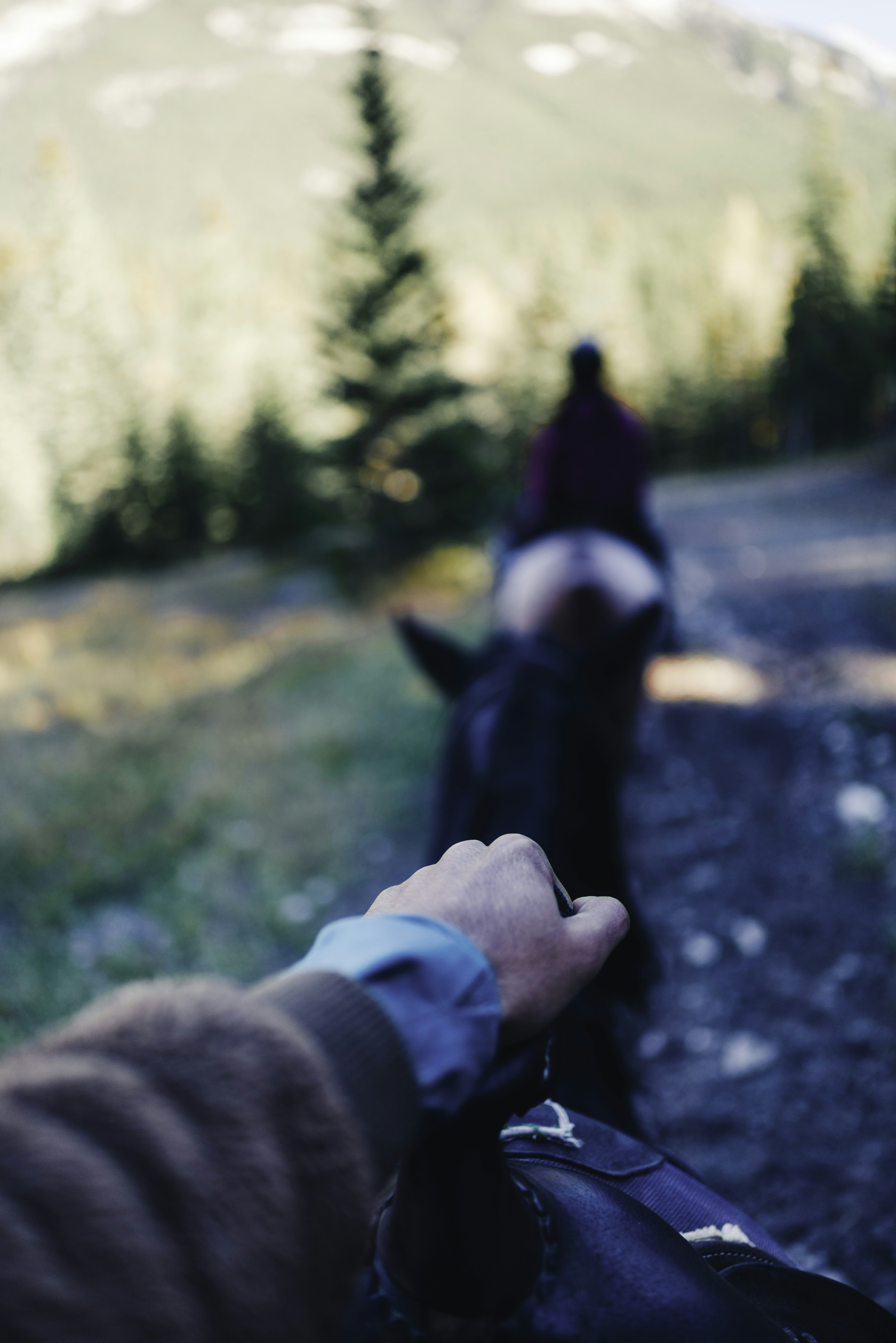 Riding horses through a scenic mountain trail