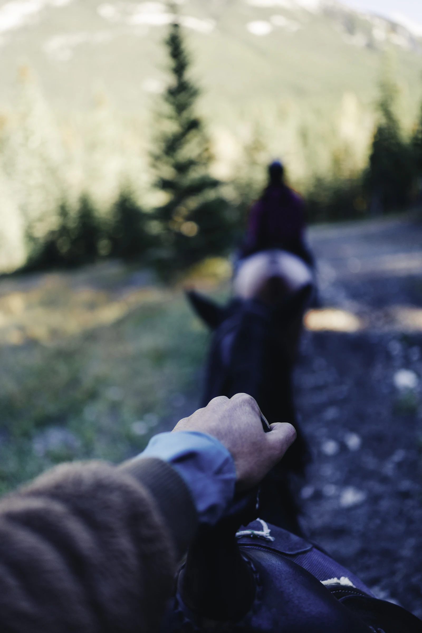 Foothills Trail Ride