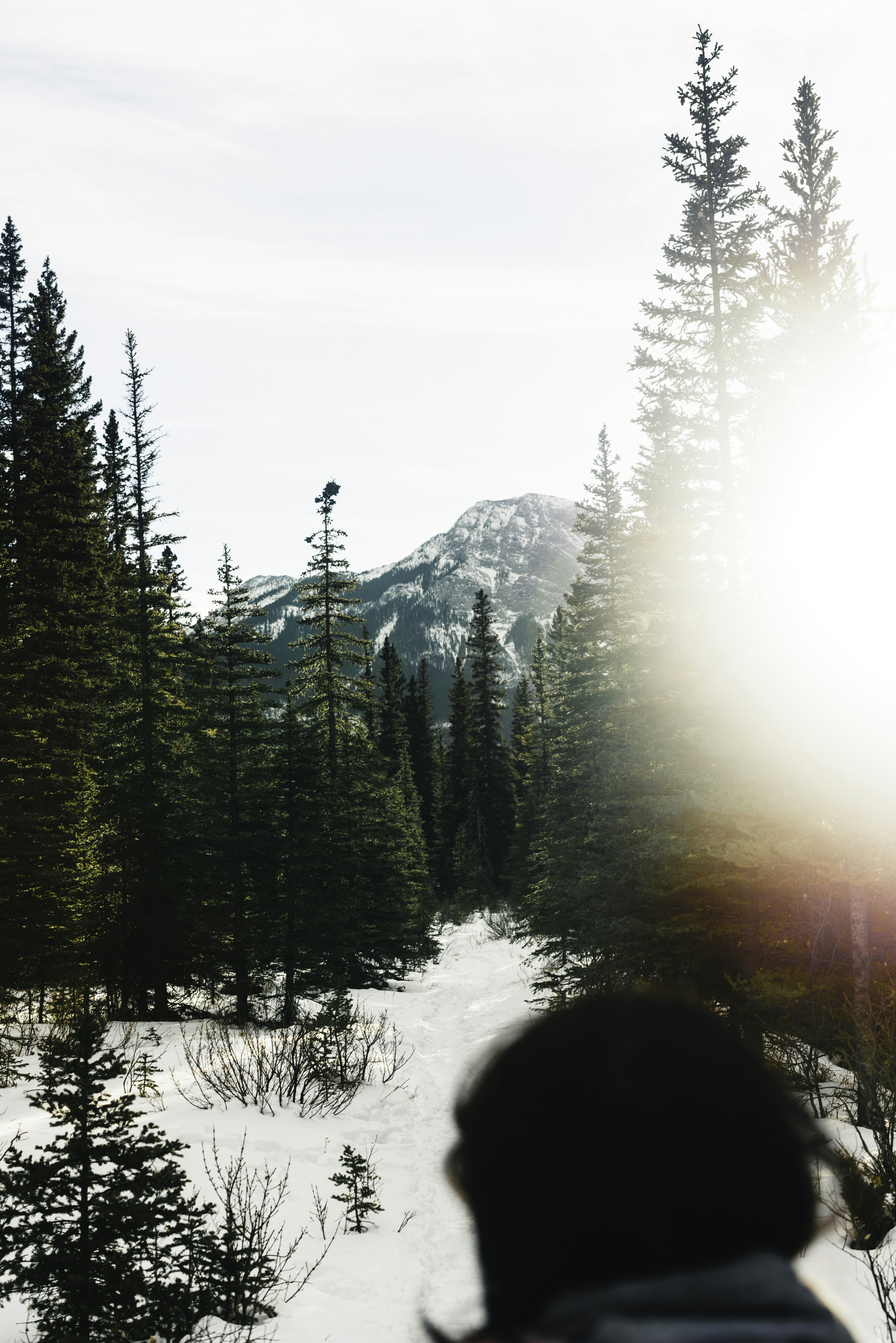 Photo by lureofadventure