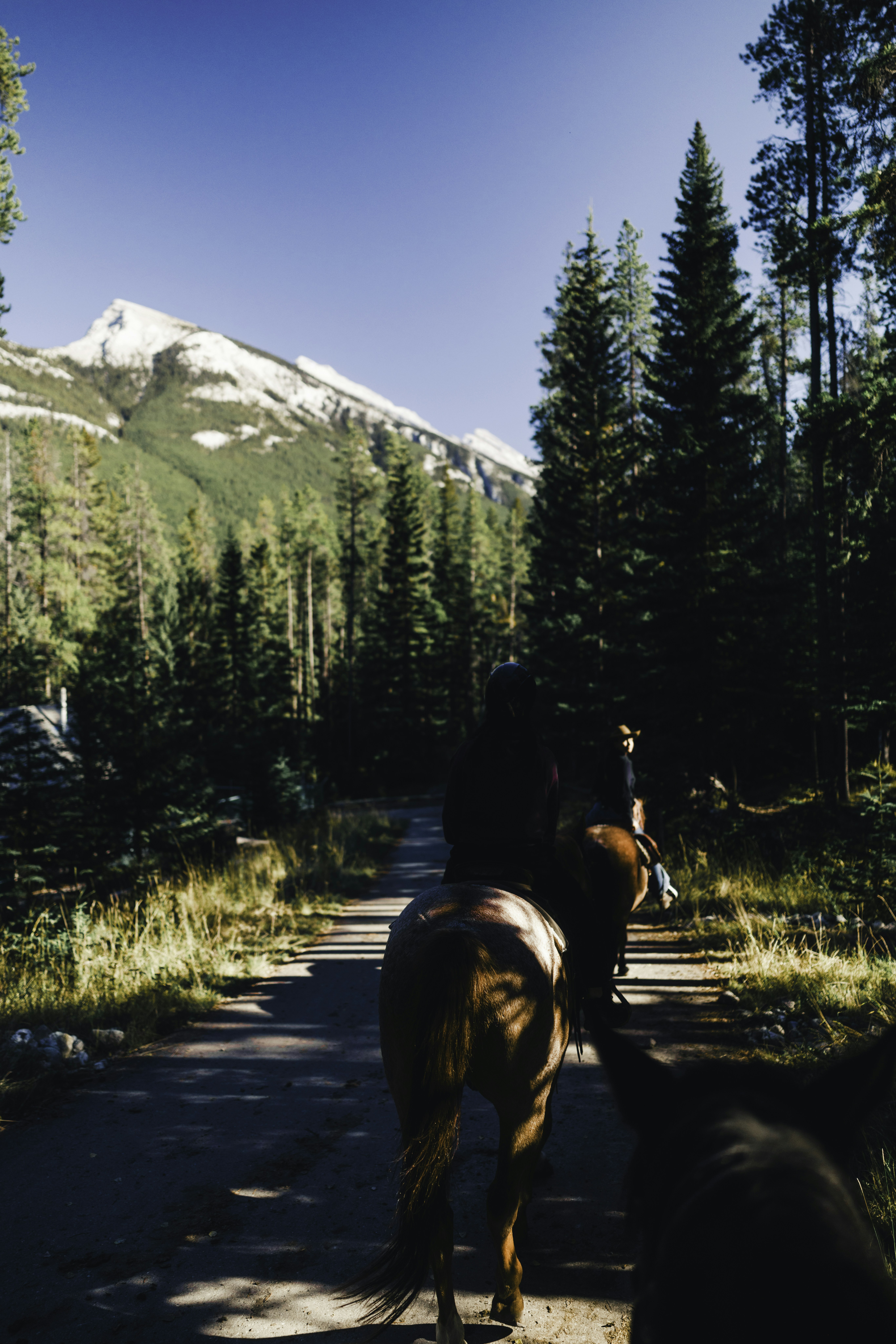 Photo by lureofadventure