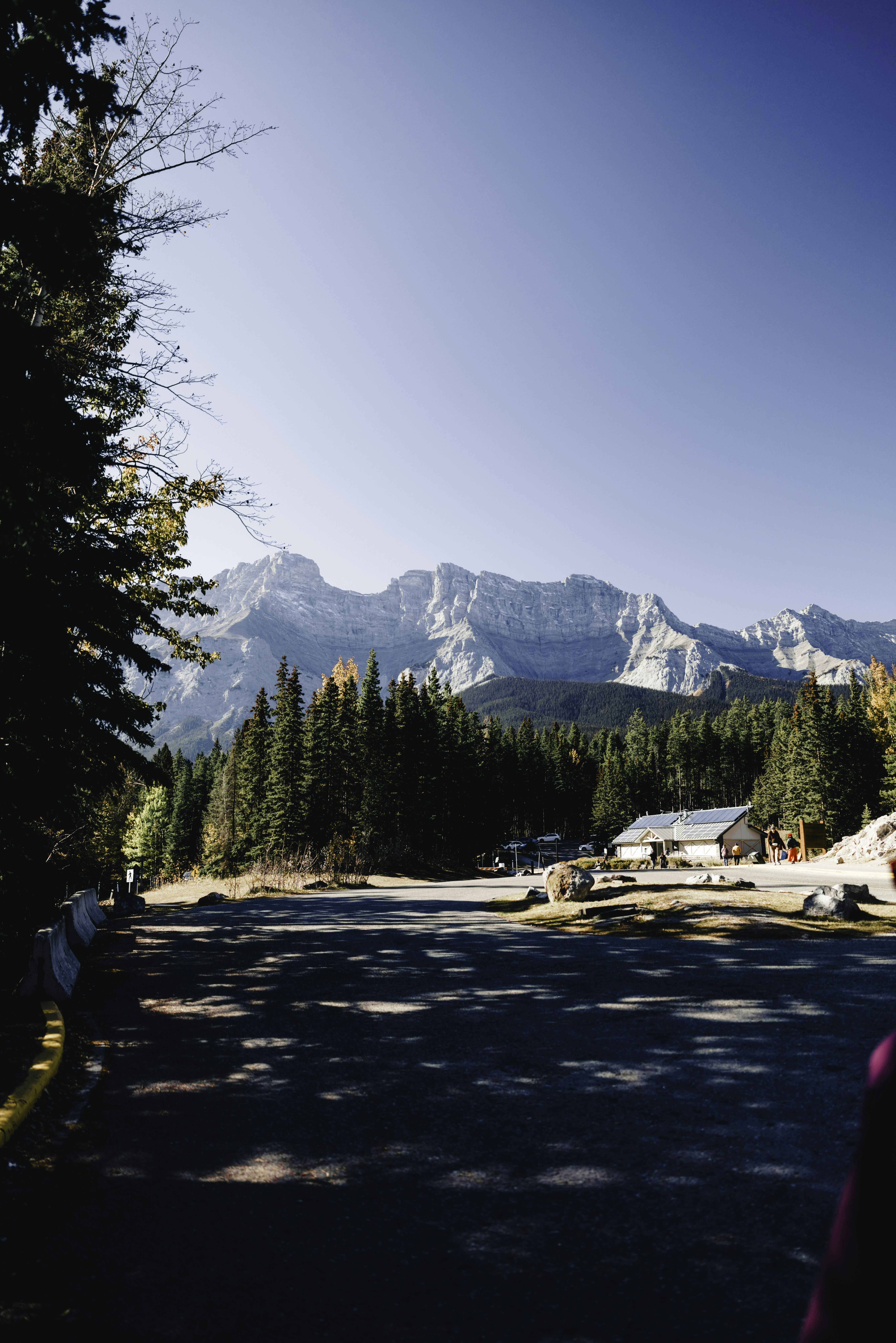 Mountain range with pine trees and a small building.