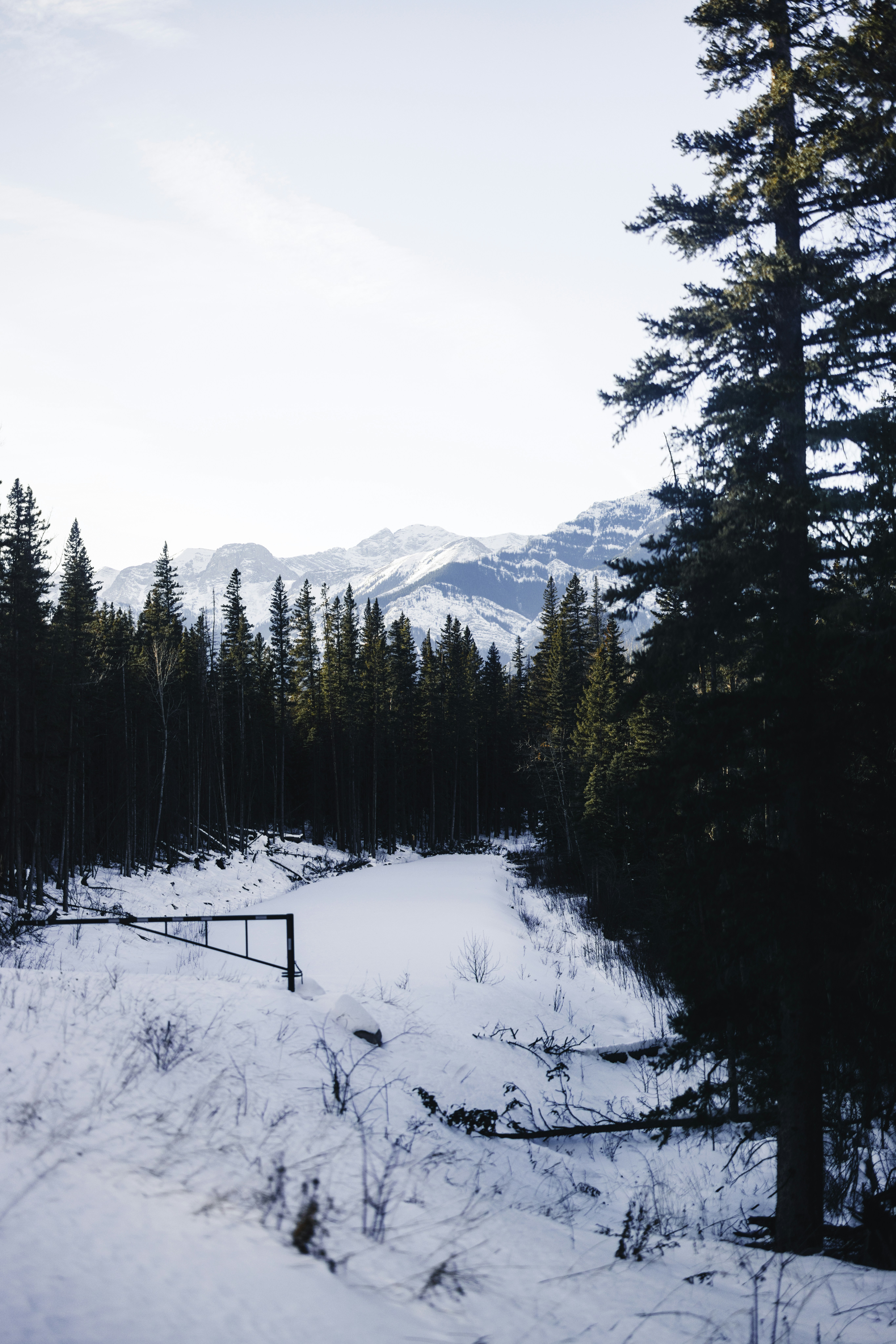 Photo by lureofadventure