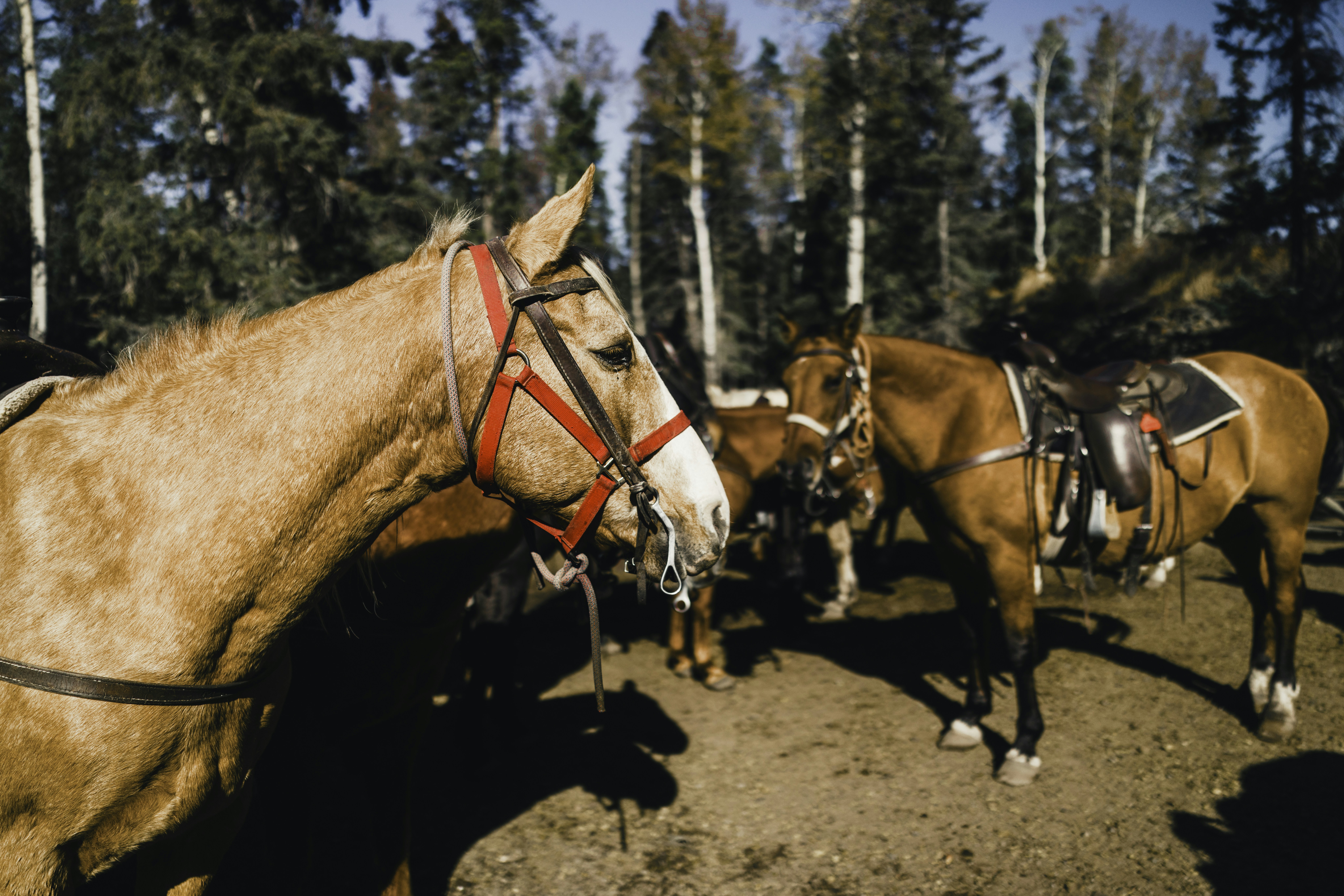 Photo by lureofadventure