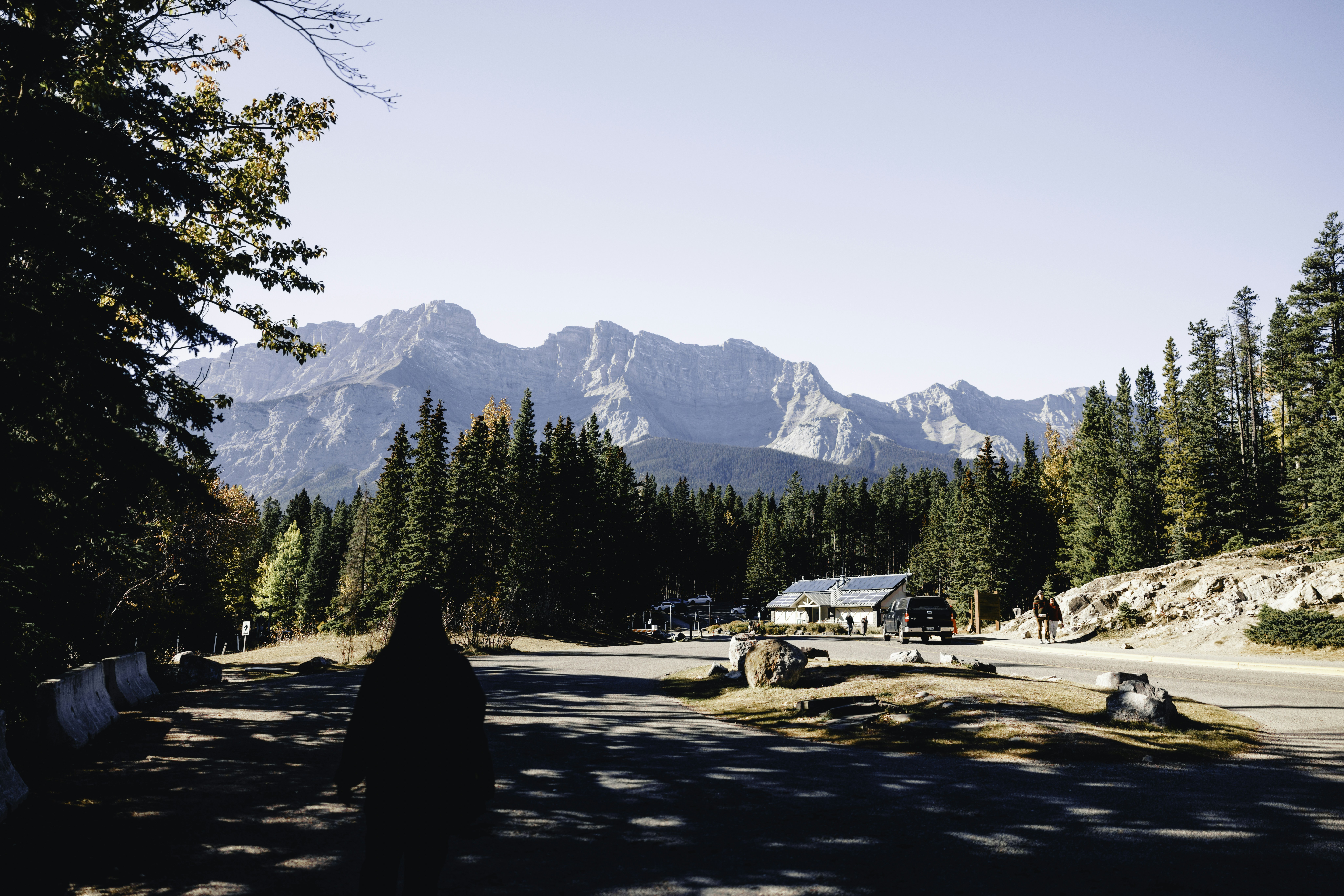A person stands in a forest with mountains behind